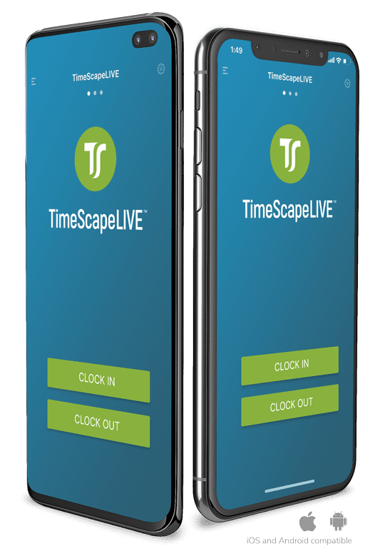 Snow &amp, Ice TimeScape