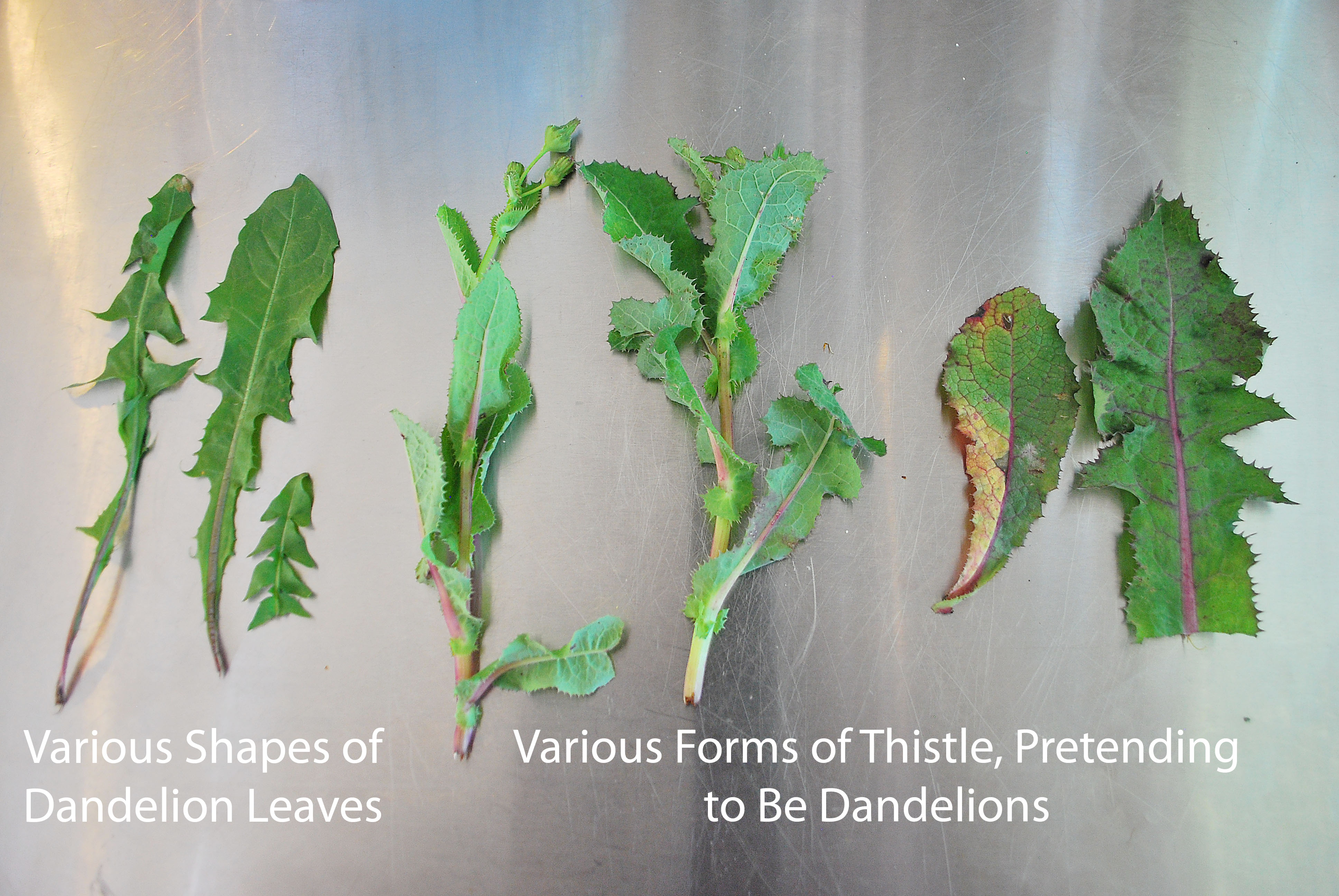 301 Moved Permanently