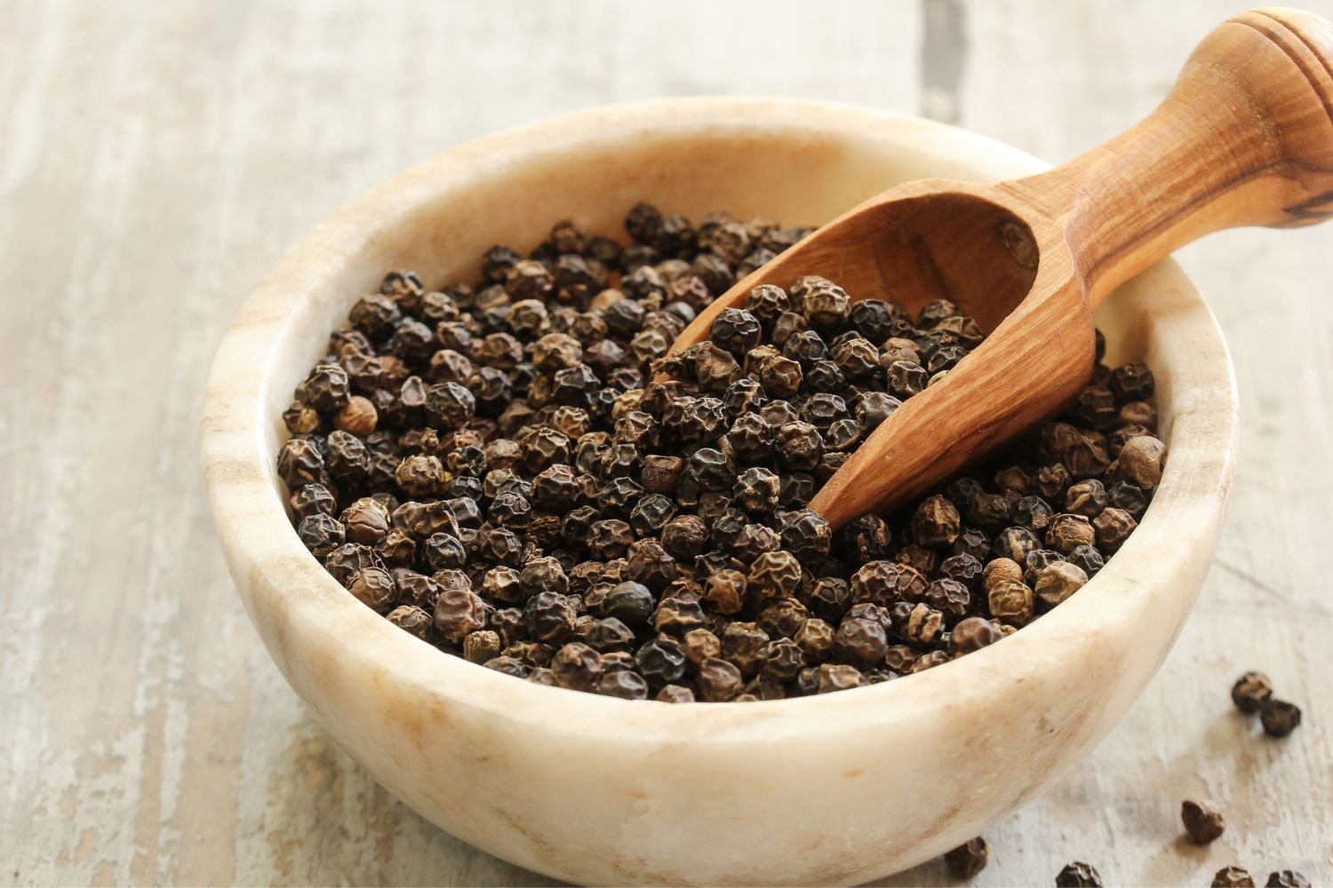 Black Pepper for Dogs Navigating the Risks and Rewards Getting A Dog