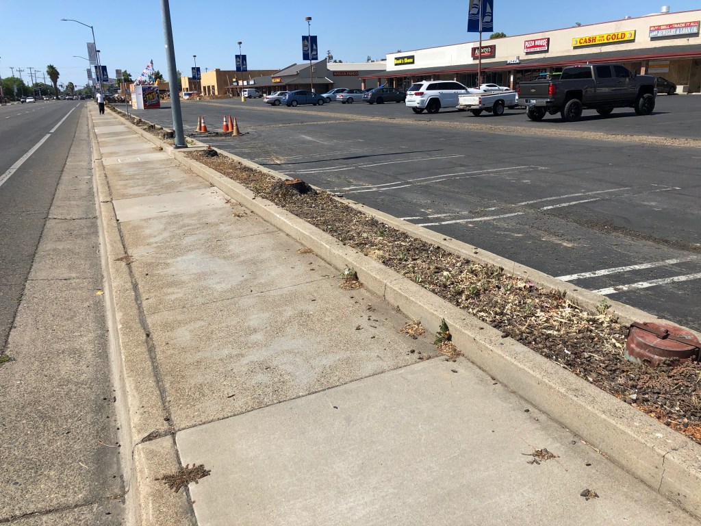 Stockton Blvd needs trees Getting Around Sacramento