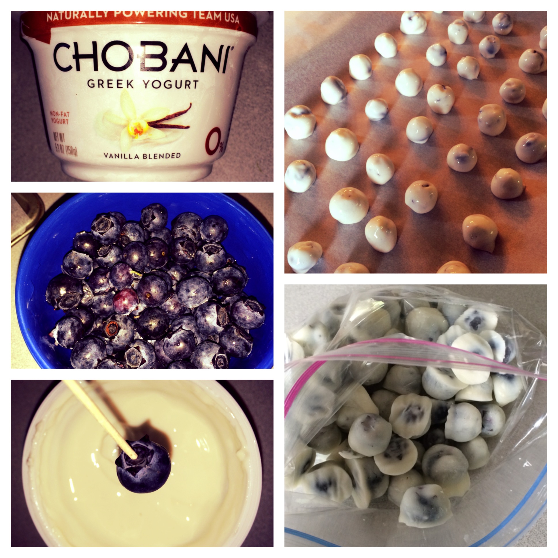 Yogurt Covered Blueberries « Getting Out Of My Head
