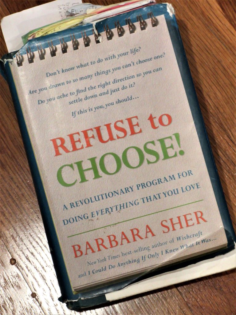 Thank You, Barbara Sher Getting Things Sewn