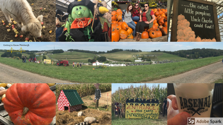 Trax Farms Fall Festival 2023 Pumpkin Patch Series: A Guide To Trax Farms – Getting To Know Pittsburgh