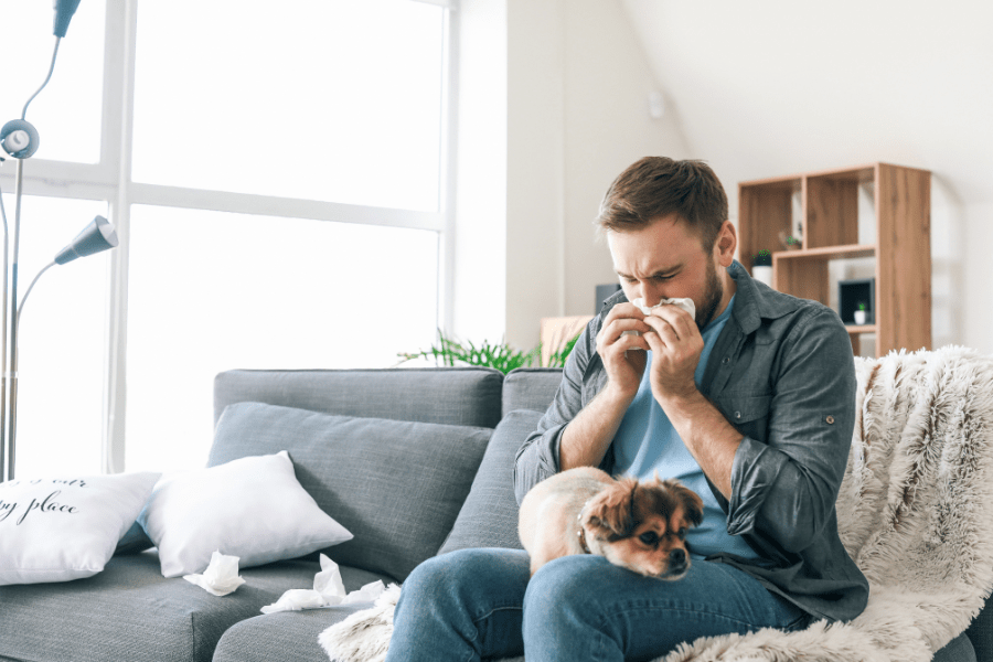 Indoor Air Quality and Allergies How uHoo Can Help You Find Relief uHoo