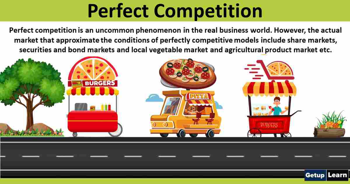 What is Perfect Competition? Features, Characteristics