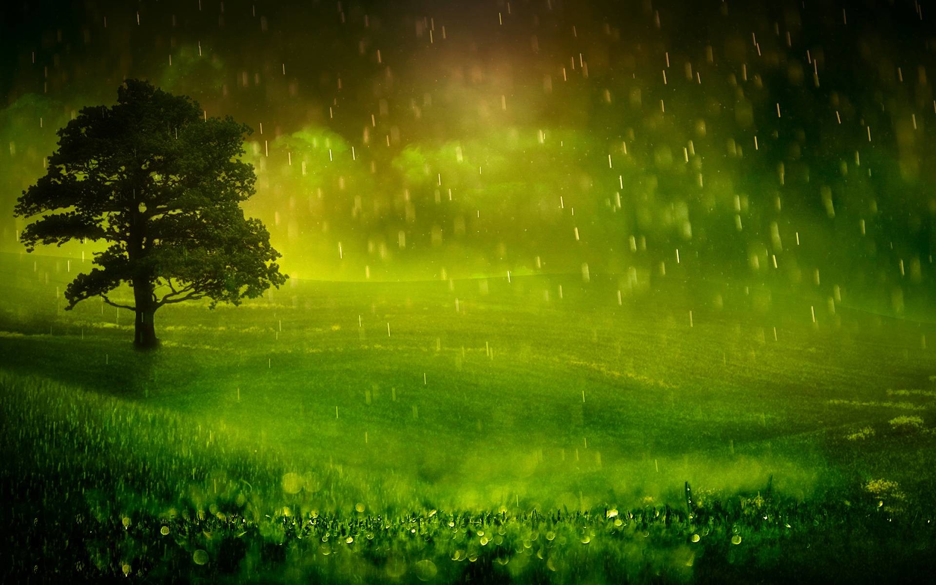 Animated Rain Wallpapers for Desktop (67+ images)