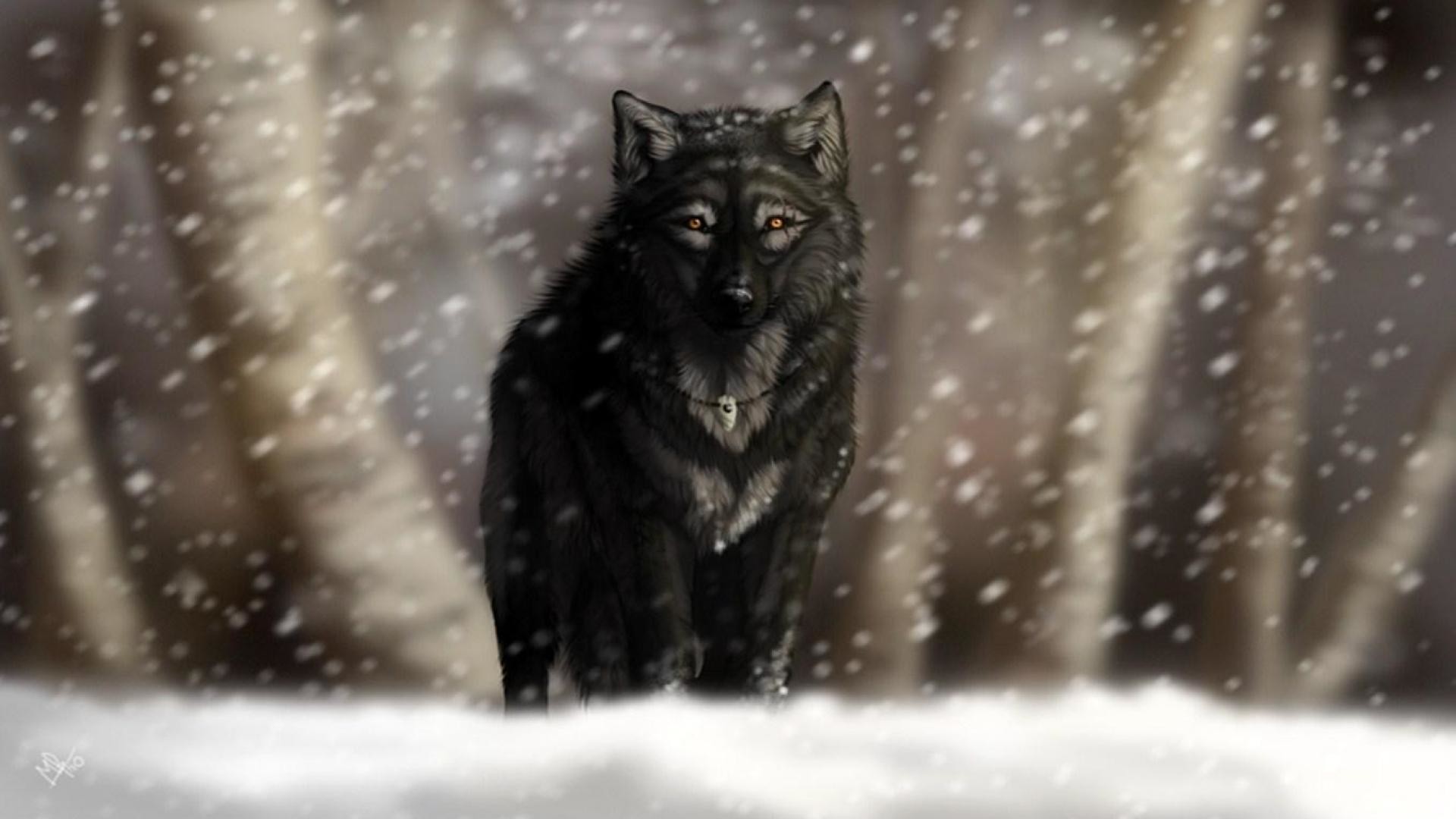 Black Wolf Wallpaper (64+ images)