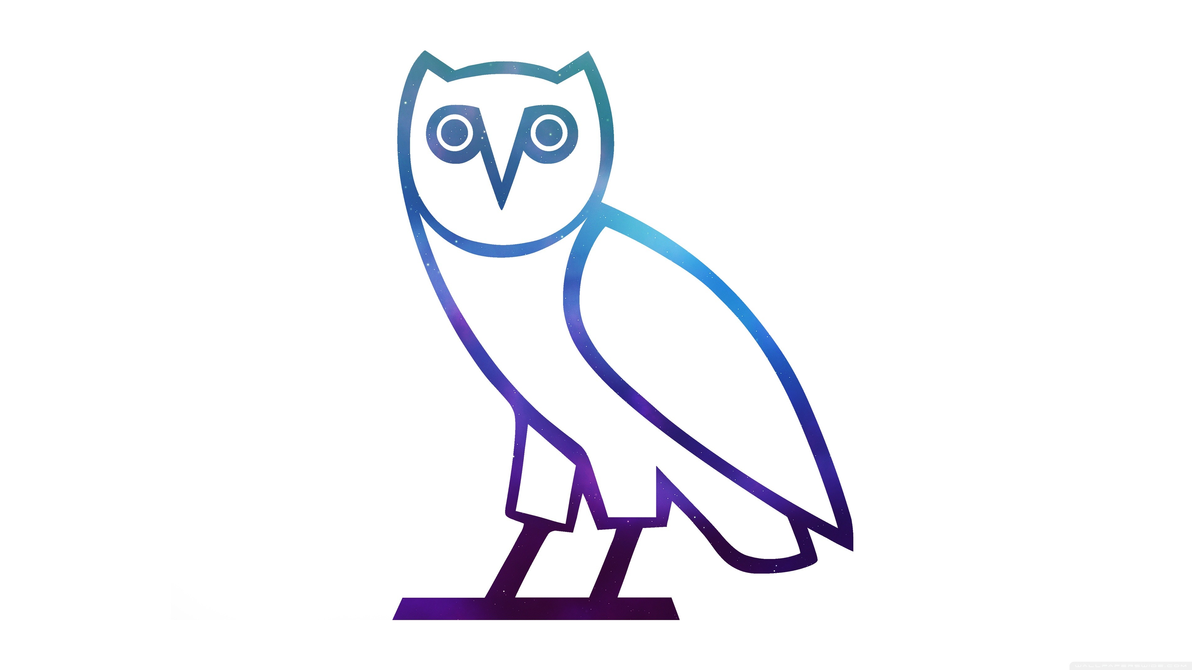 Ovo Owl Wallpaper (78+ images)