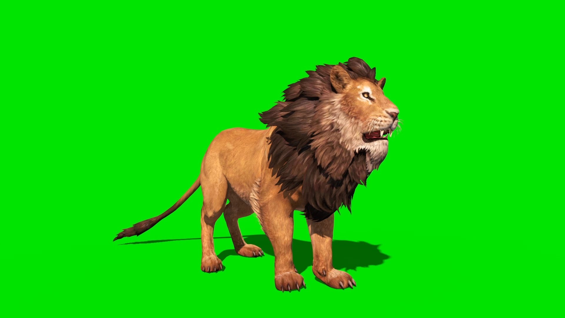 Green Screen Wallpaper (82+ images)