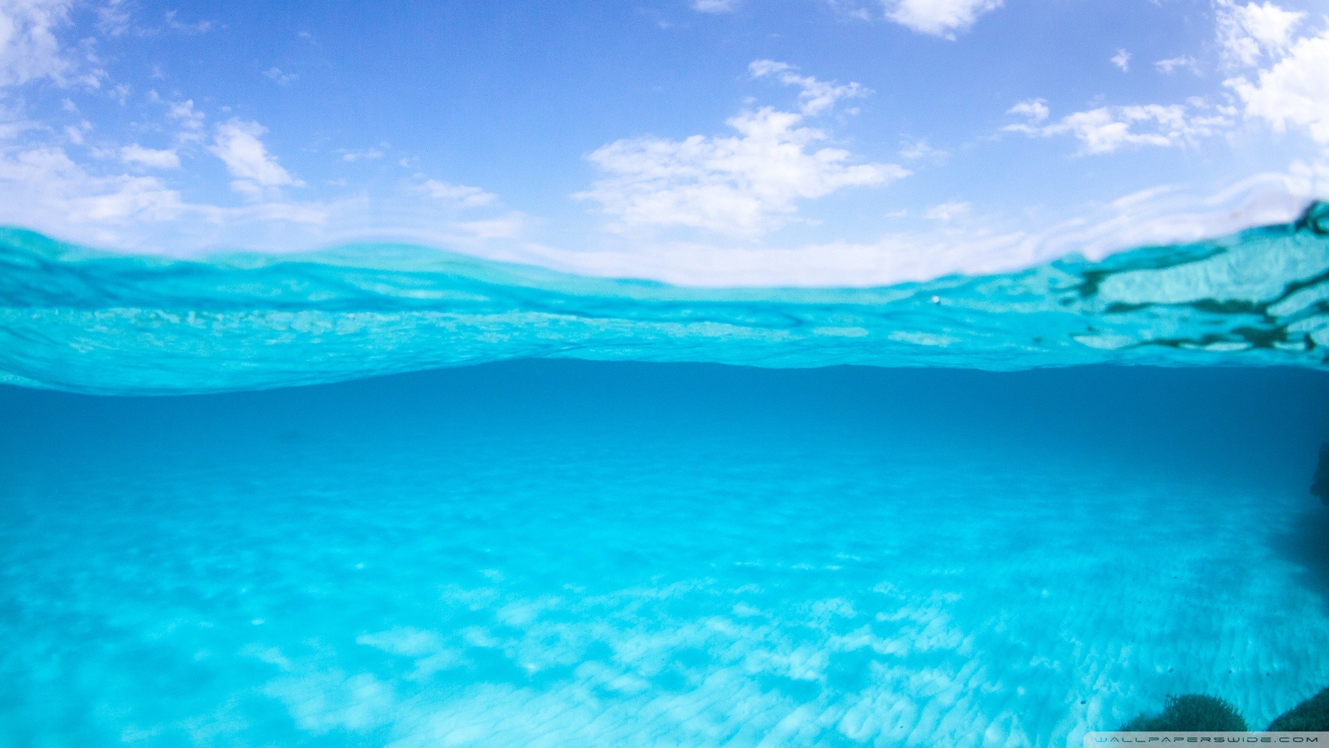 Underwater HD Wallpapers 1920x1080 (79+ images)