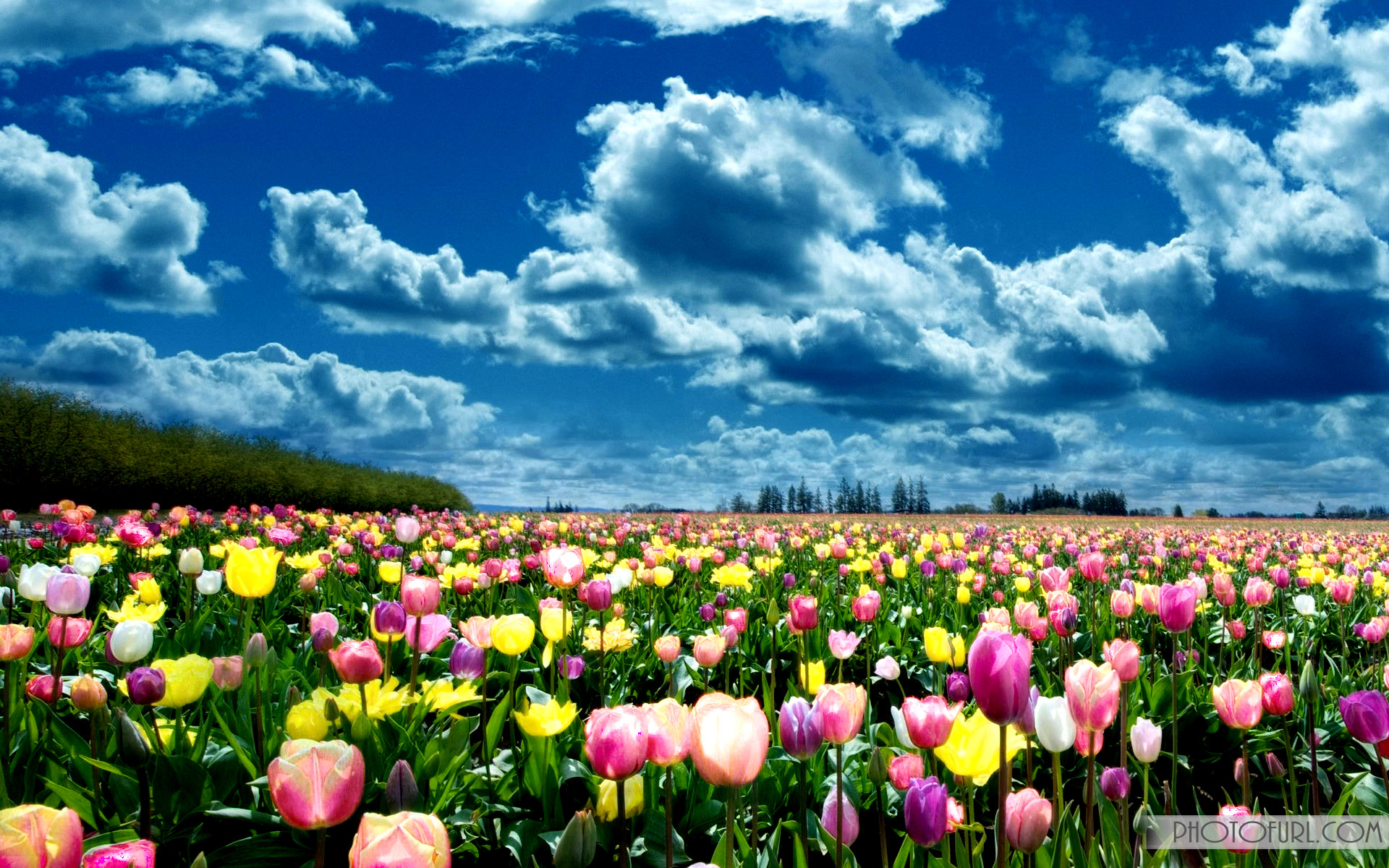 Wallpapers and Screensavers for Laptops (72+ images)