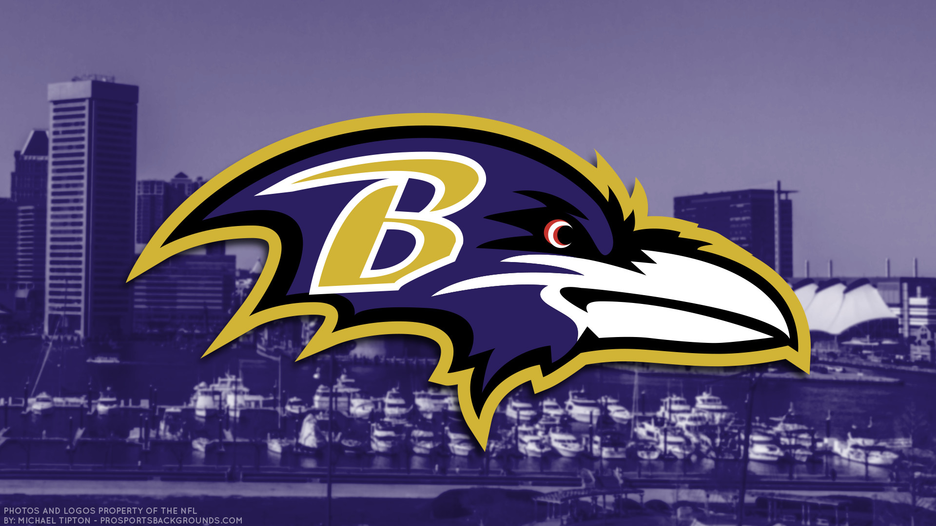 Baltimore Ravens Screensavers and Wallpaper (72+ images)