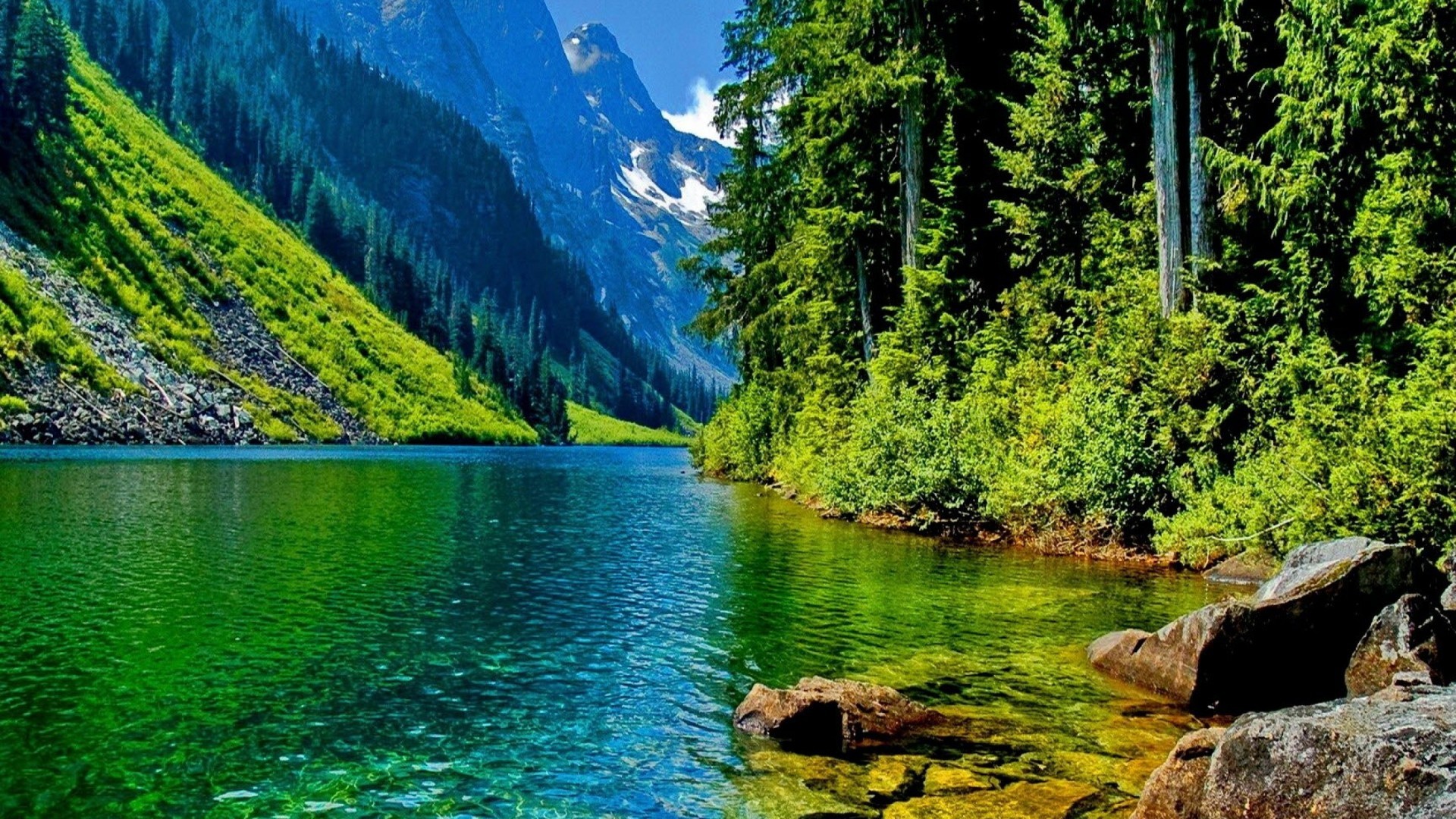 Nature Wallpaper 1920x1080 (74+ images)