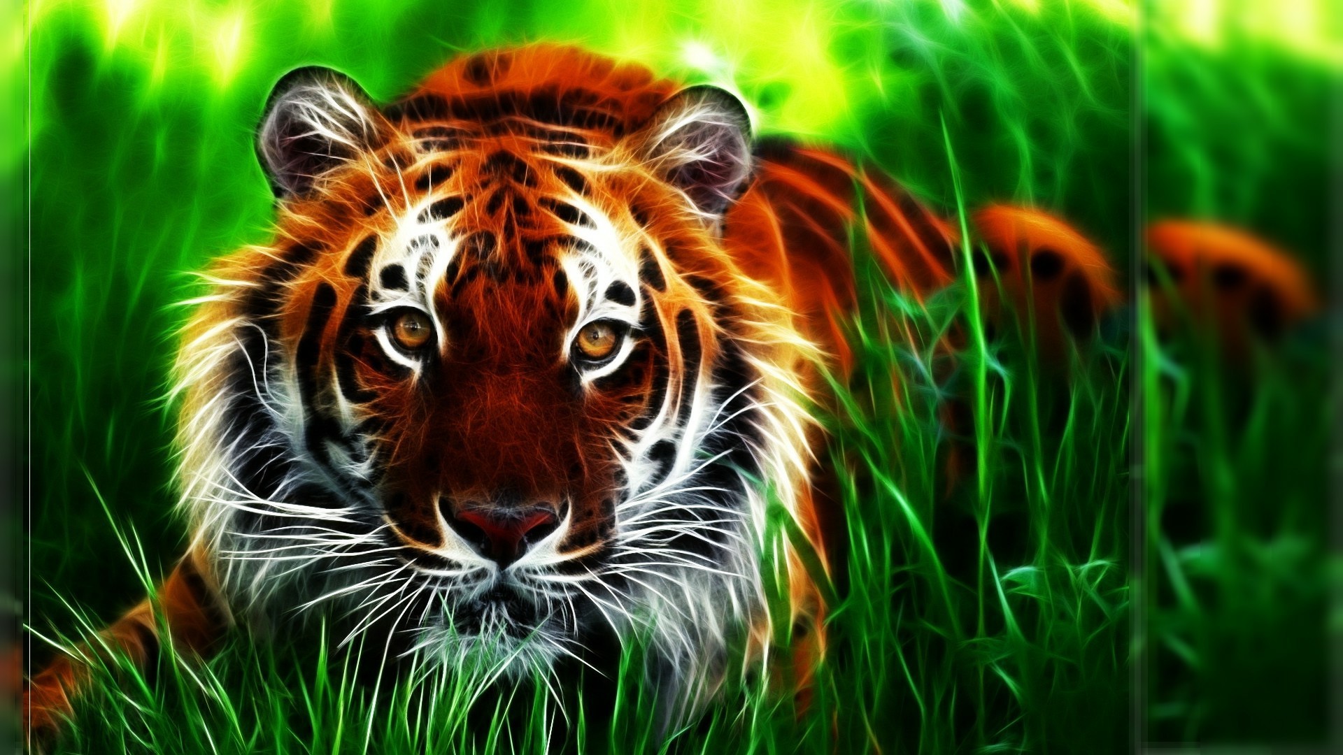 Cool Wallpapers of Tigers (54+ images)