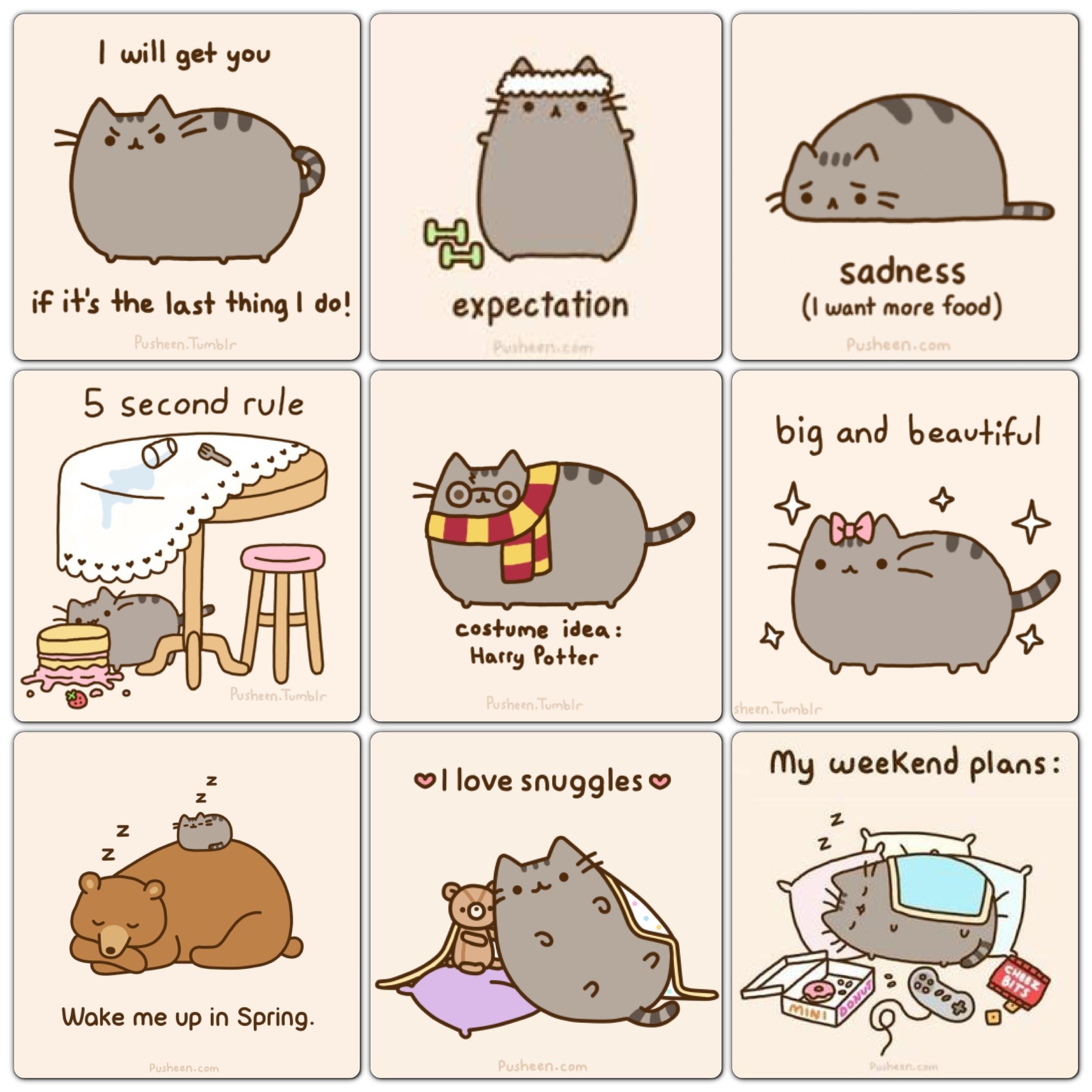 Pusheen Desktop Wallpaper (61+ images)