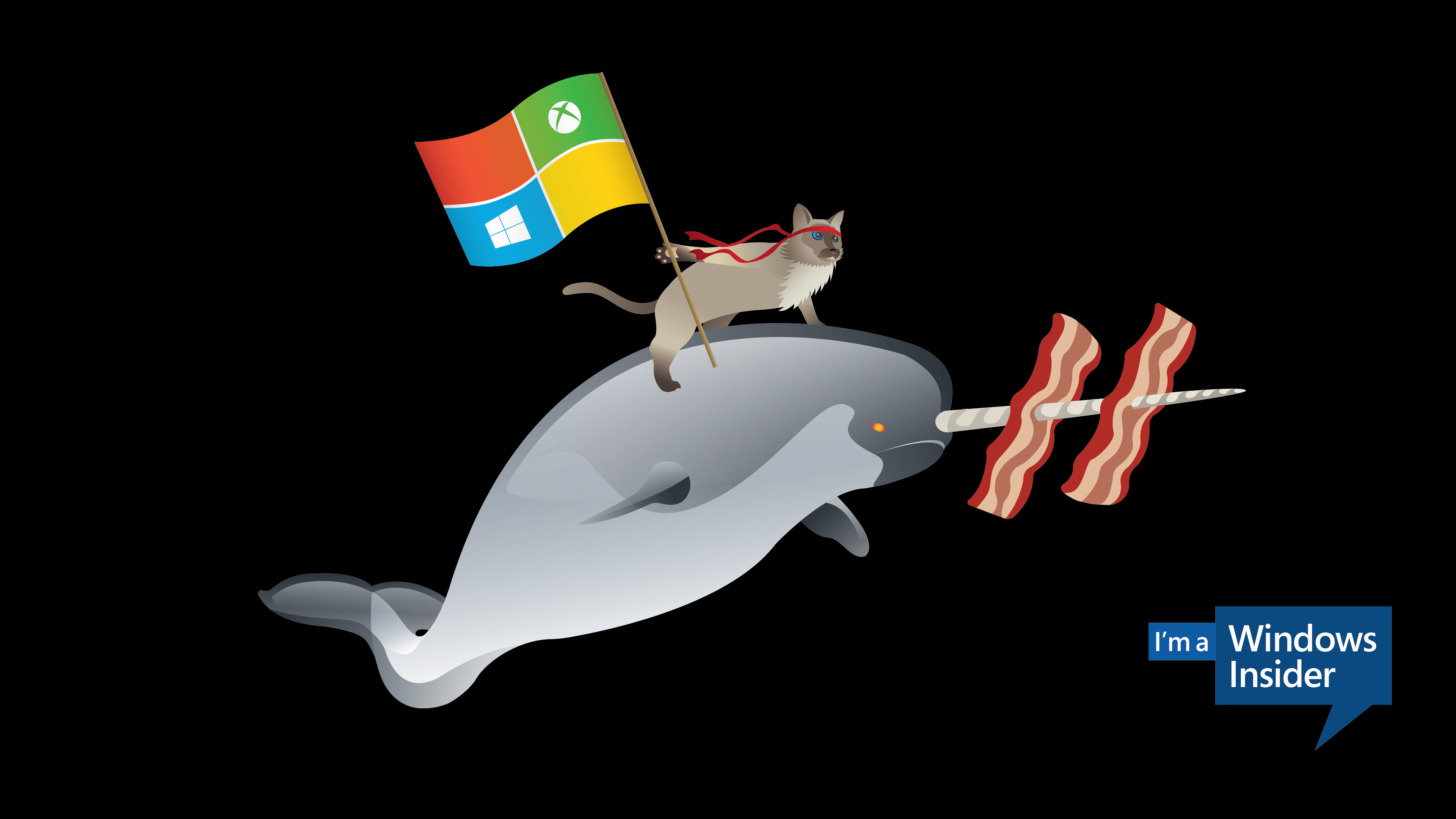 Ninja Cat Wallpaper (76+ images)