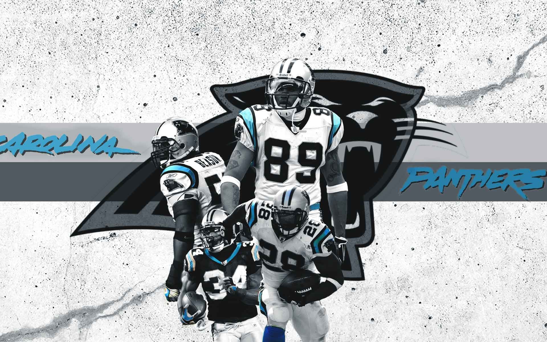 Carolina Panthers Wallpaper HD (69+ images)
