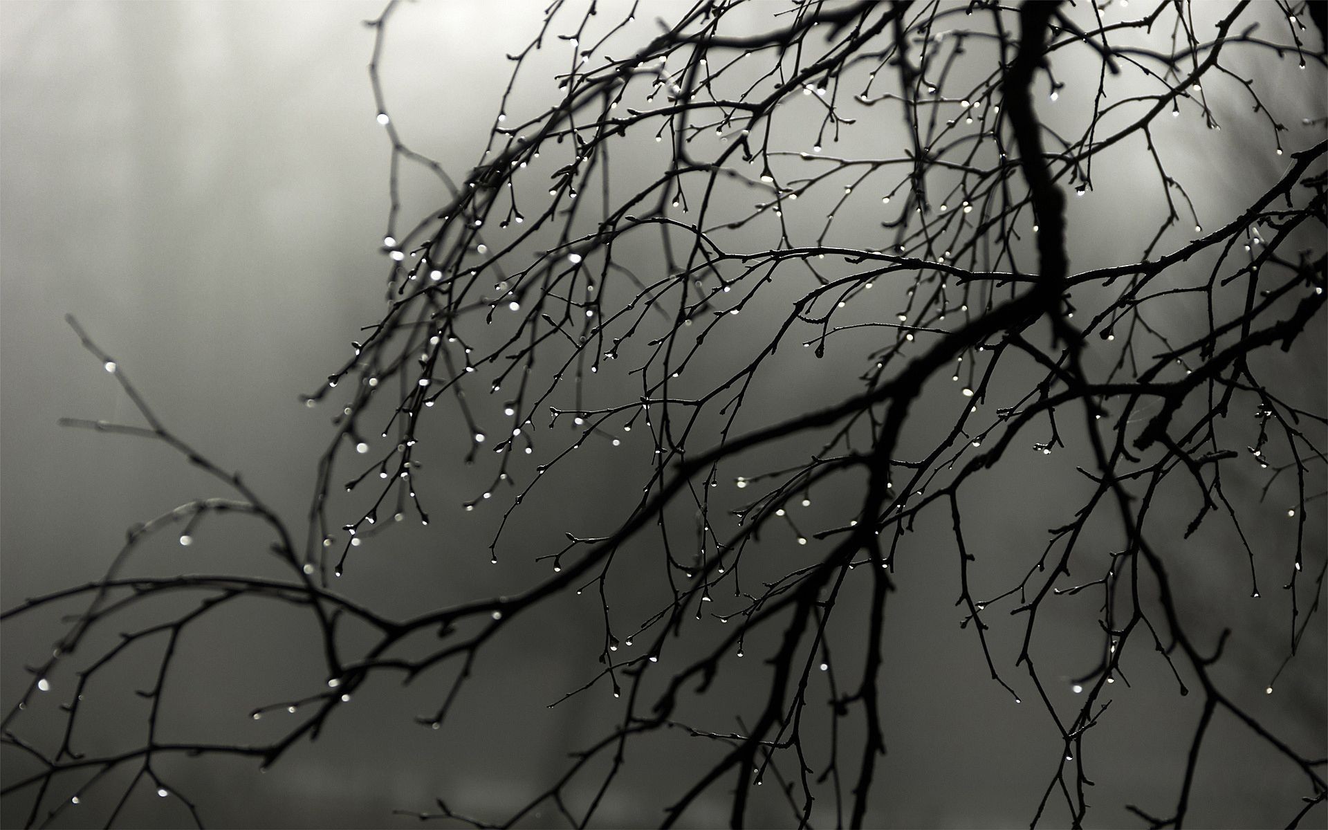 Rainy Desktop Wallpaper (64+ images)