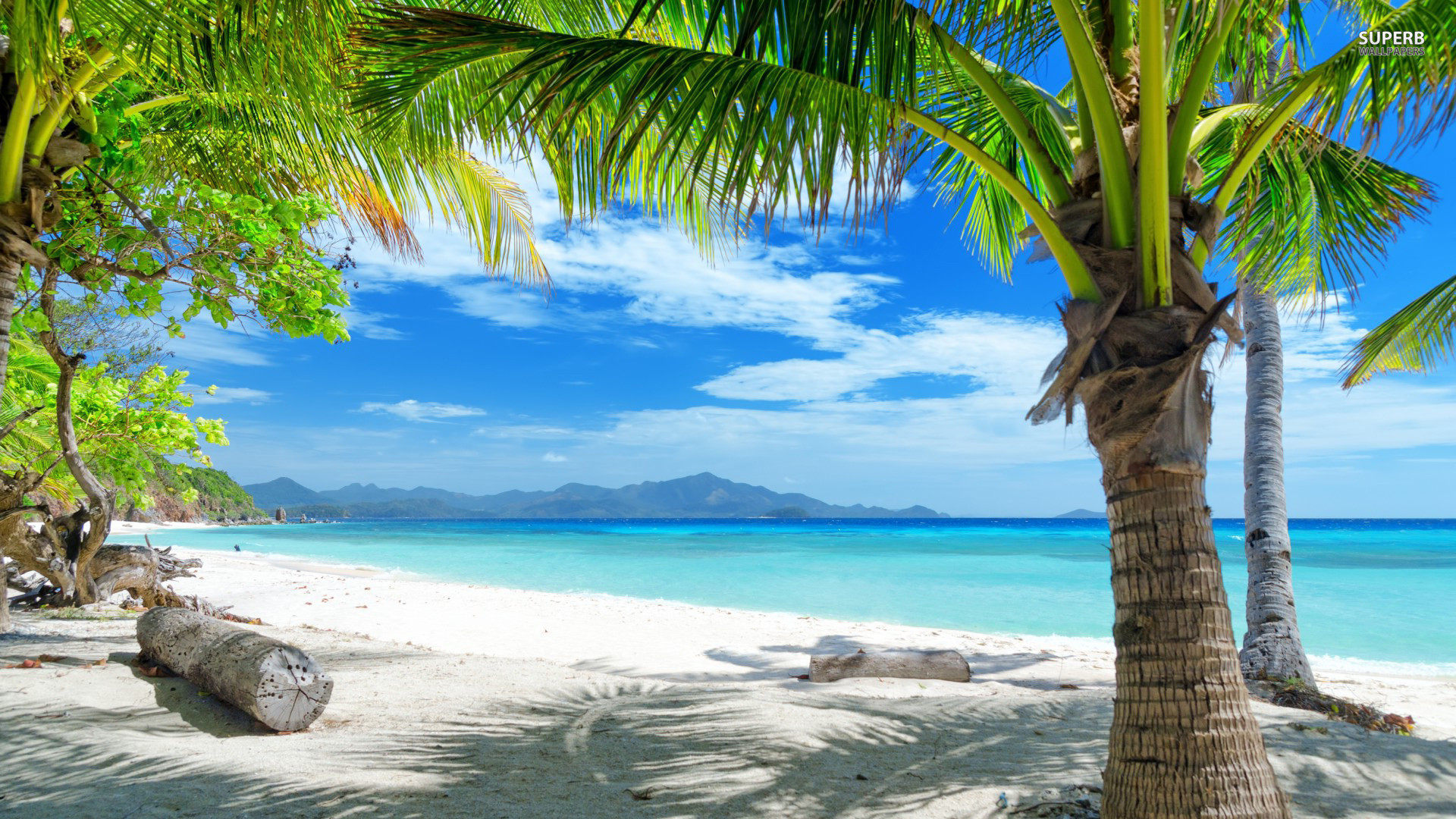 [49+] Tropical Screensavers and Wallpaper