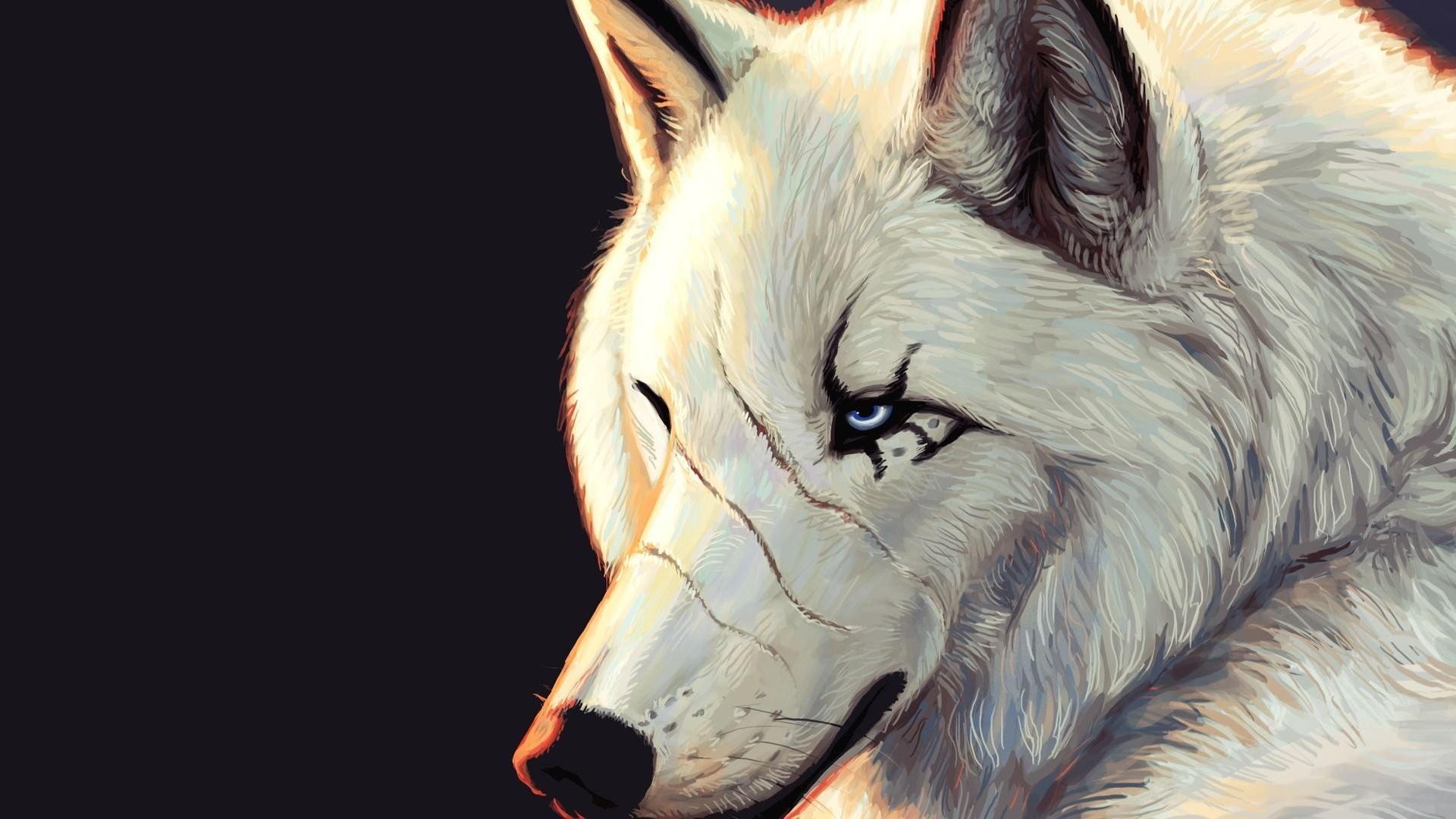 Wolf Art Wallpaper (79+ images)