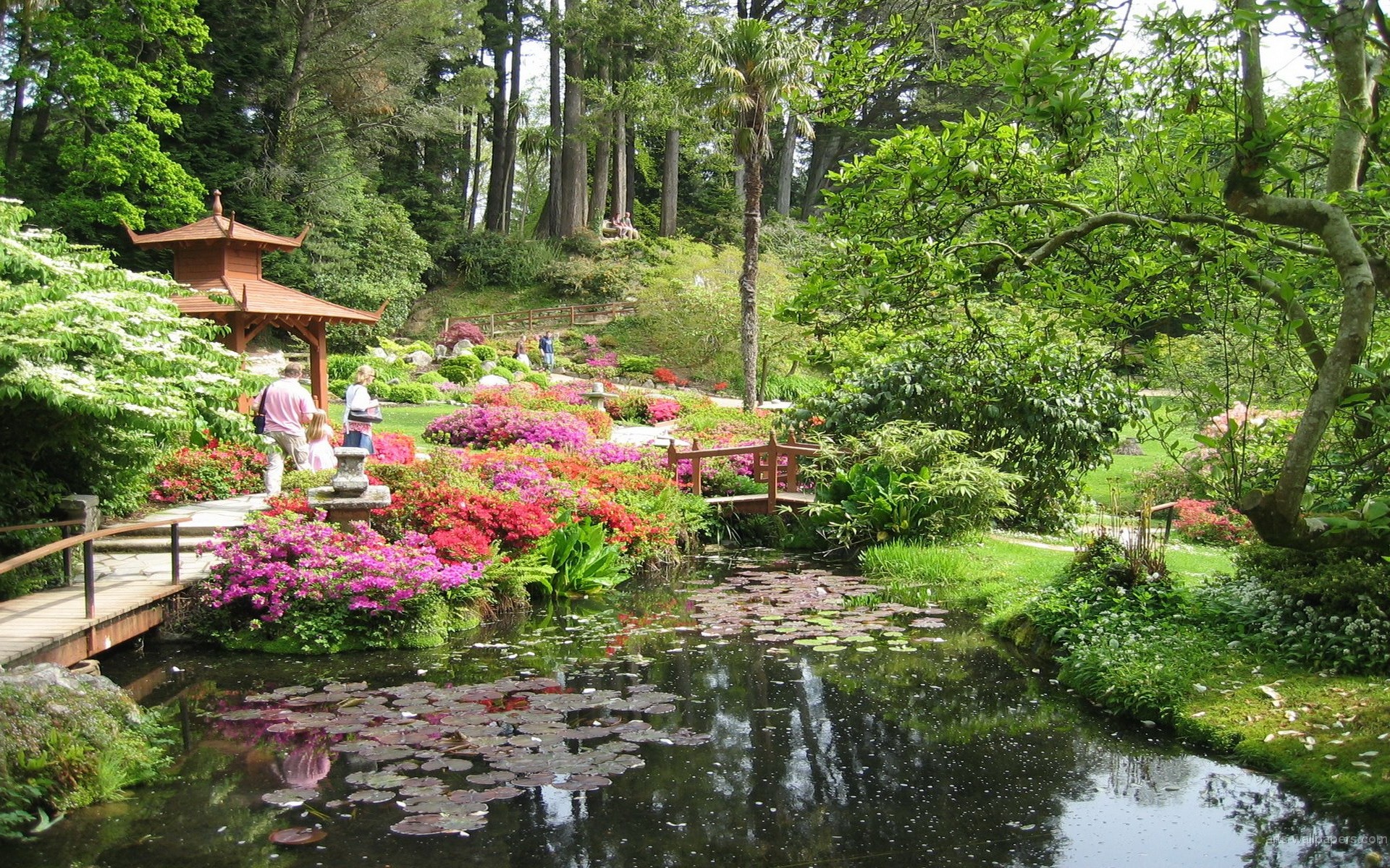 Japanese Garden HD Wallpaper (57+ images)