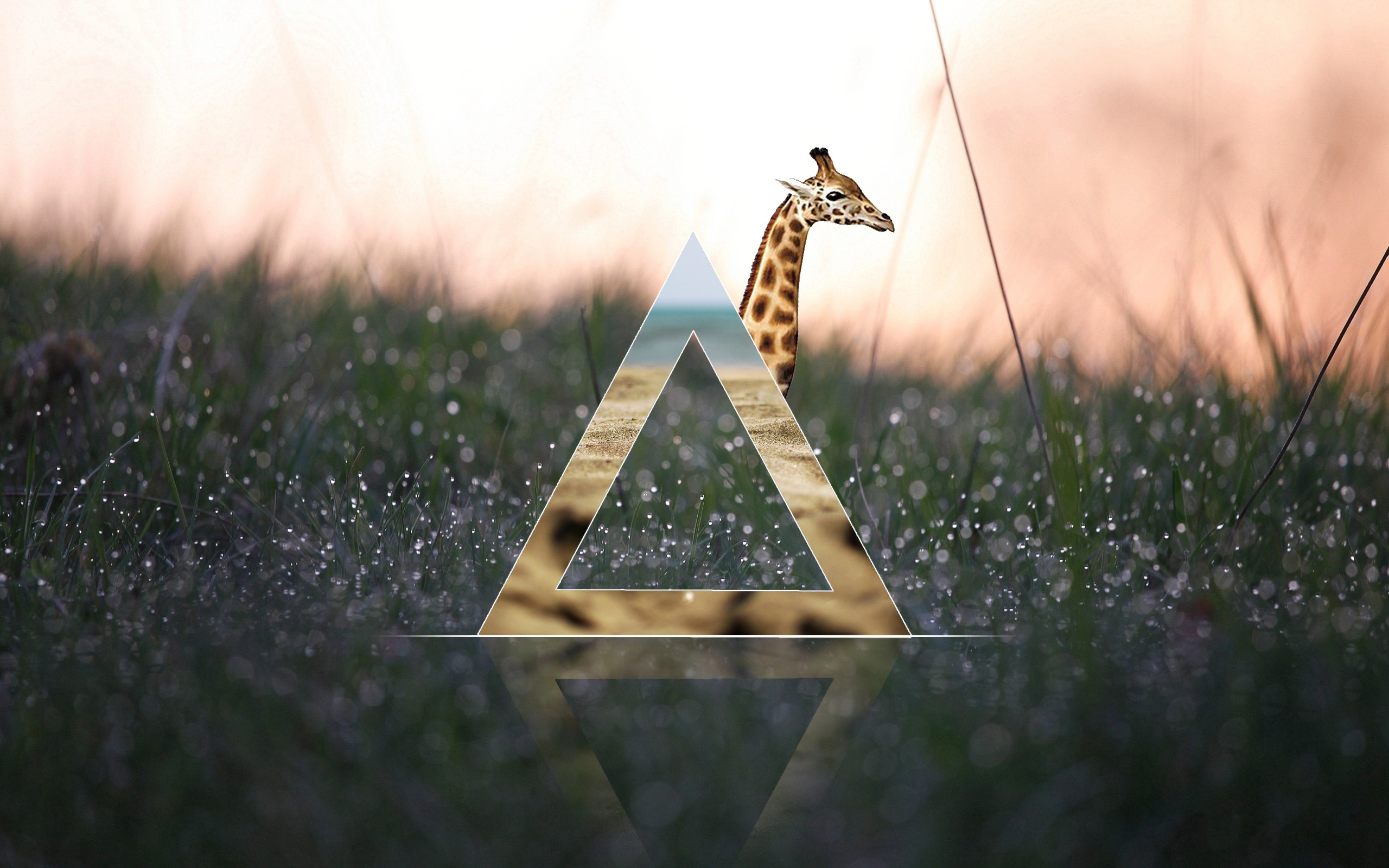 Hipster Computer Wallpaper (71+ images)