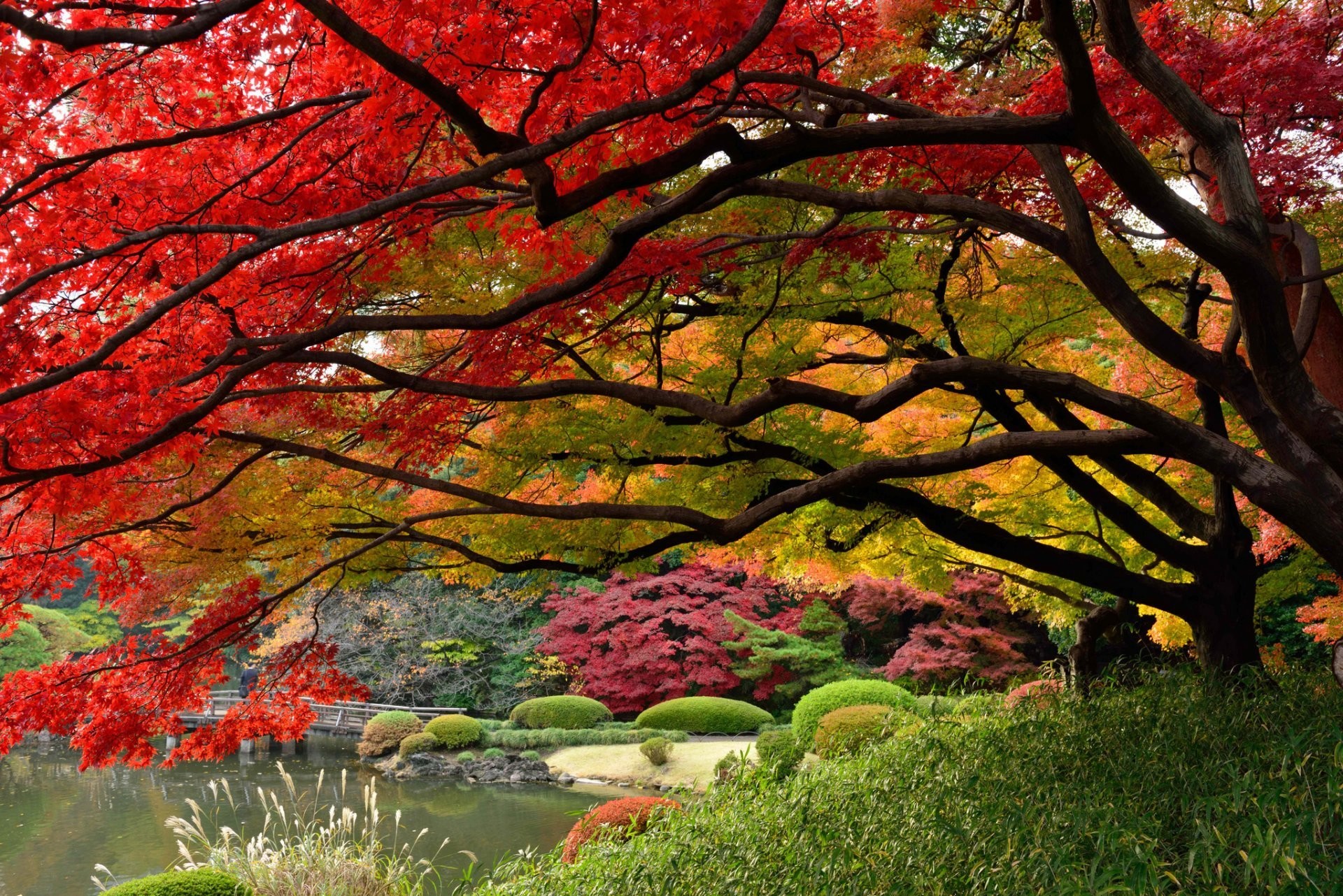 Japanese Garden HD Wallpaper (57+ images)