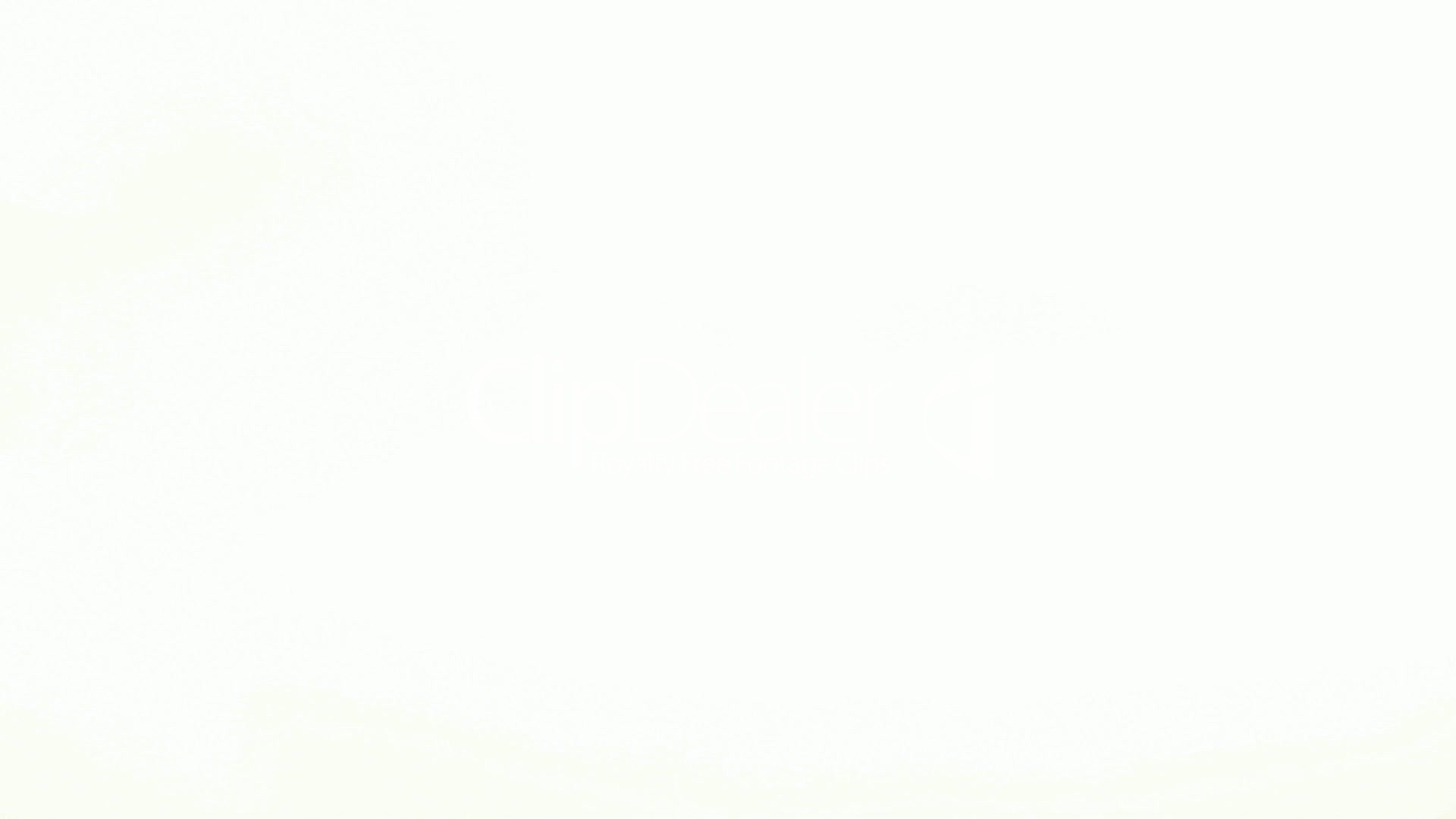 Black and White Background Wallpapers (54+ images)