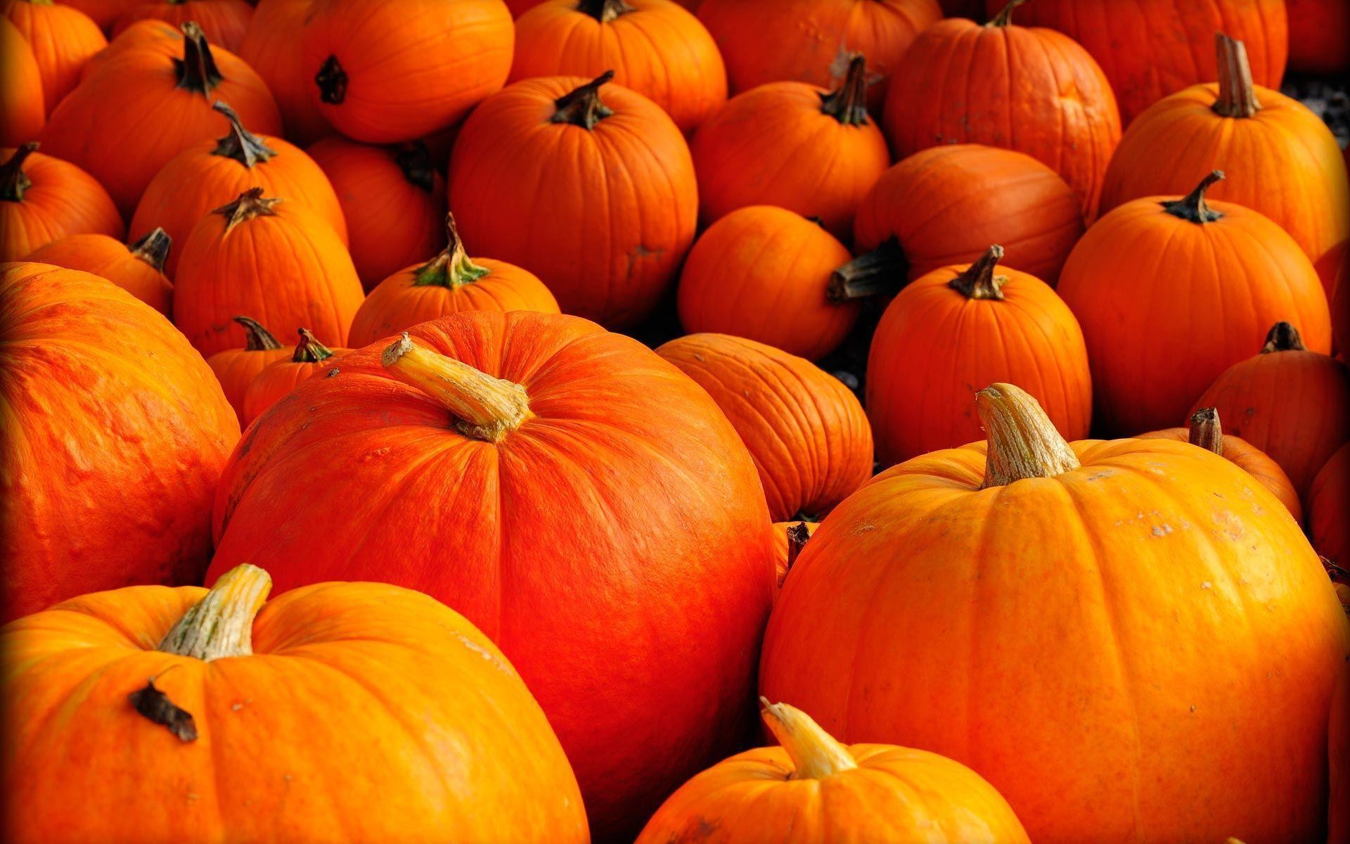 Fall Pumpkin Wallpaper and Screensavers (63+ images)