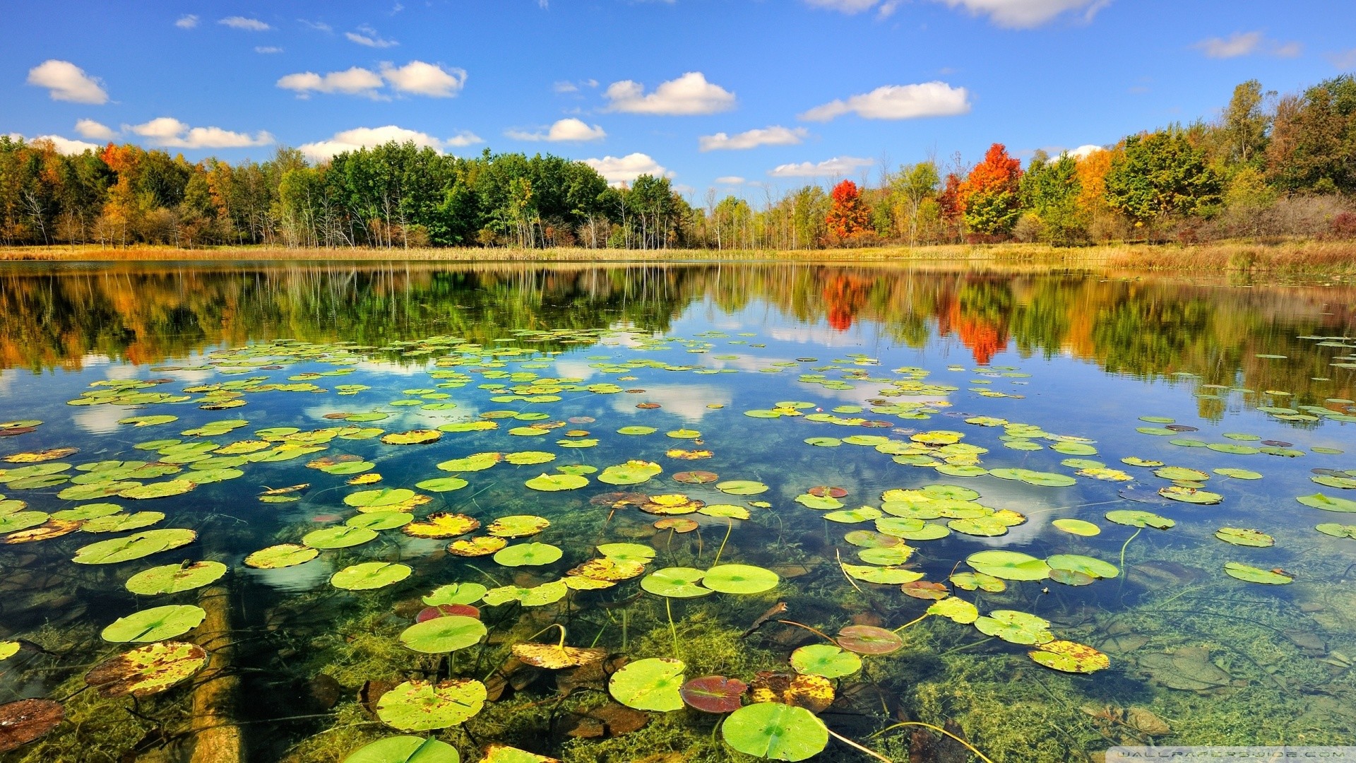 Pure Michigan Desktop Wallpapers (49+ images)