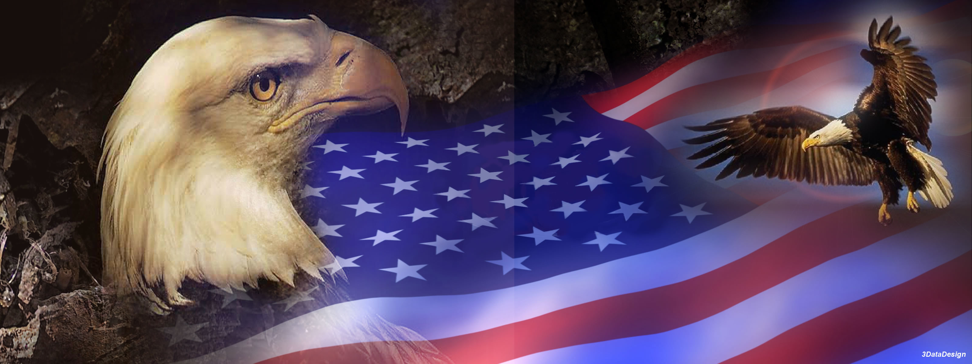 Patriotic Eagle Wallpapers (61+ images)