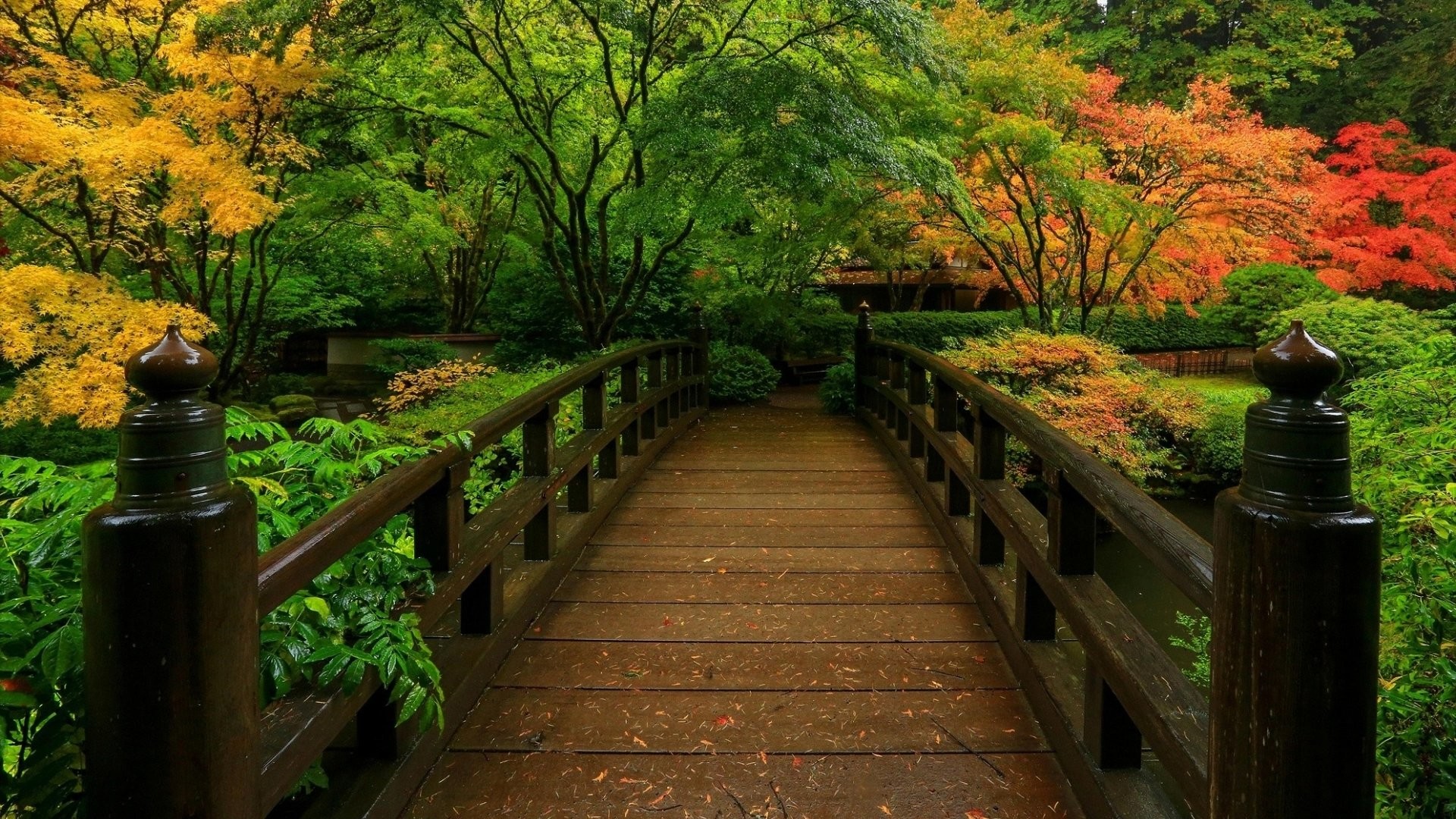 Japanese Garden HD Wallpaper (57+ images)
