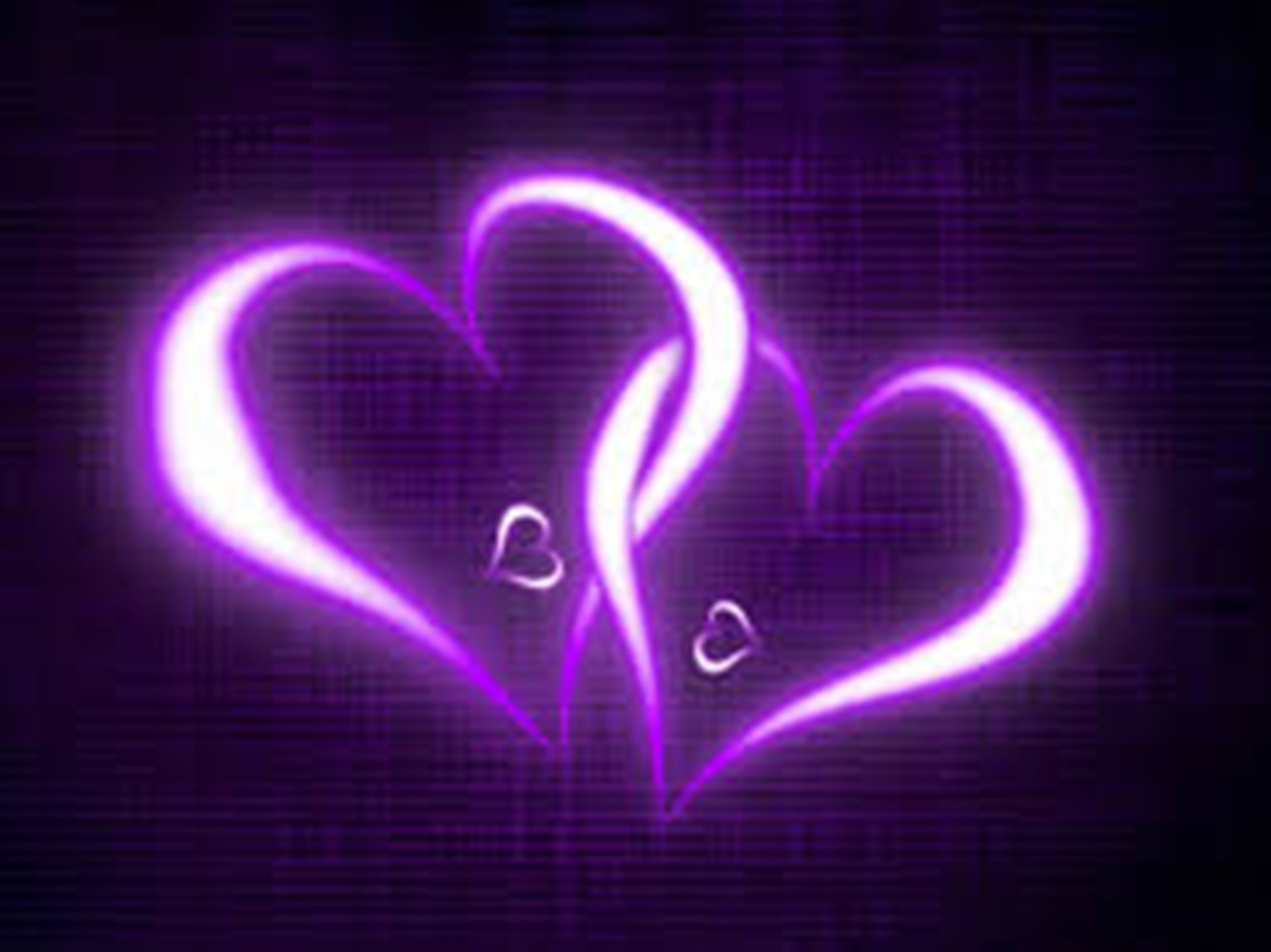 Purple Love Wallpaper (51+ images)