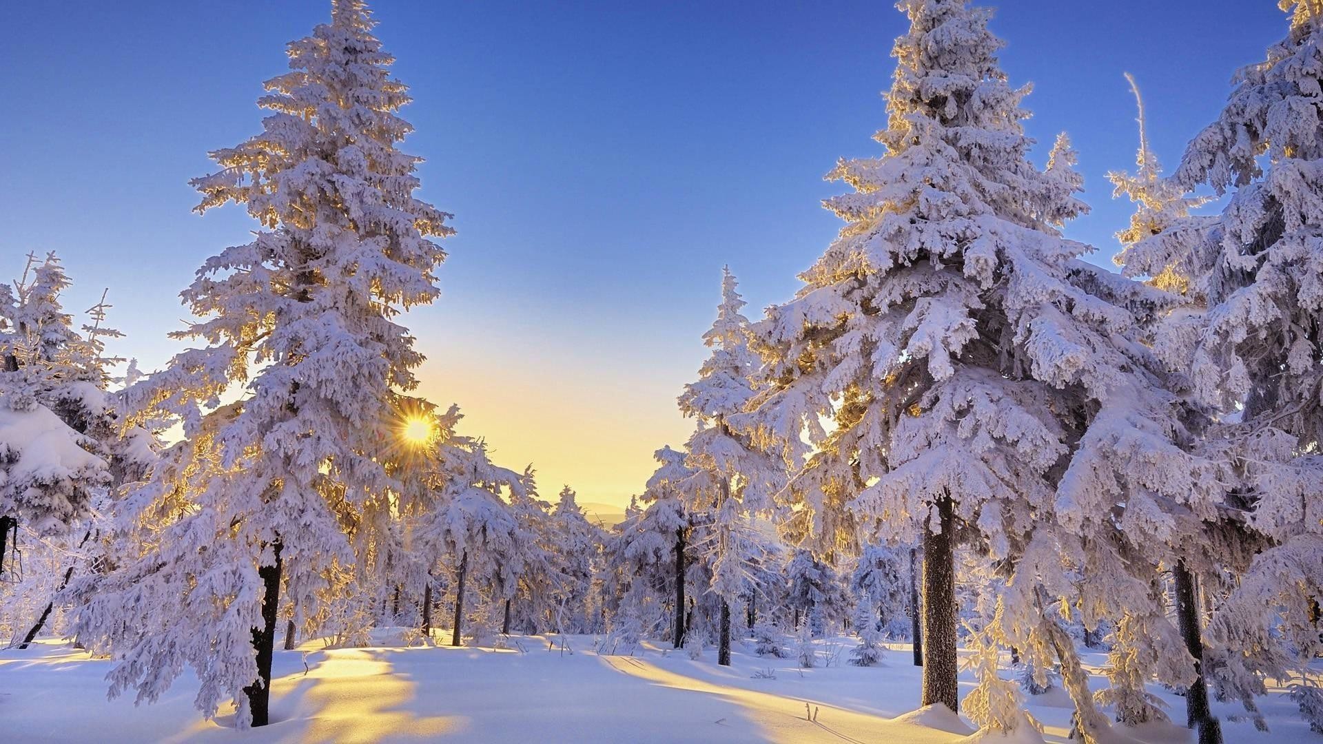 Beautiful Winter Wallpapers for Desktop (49+ images)