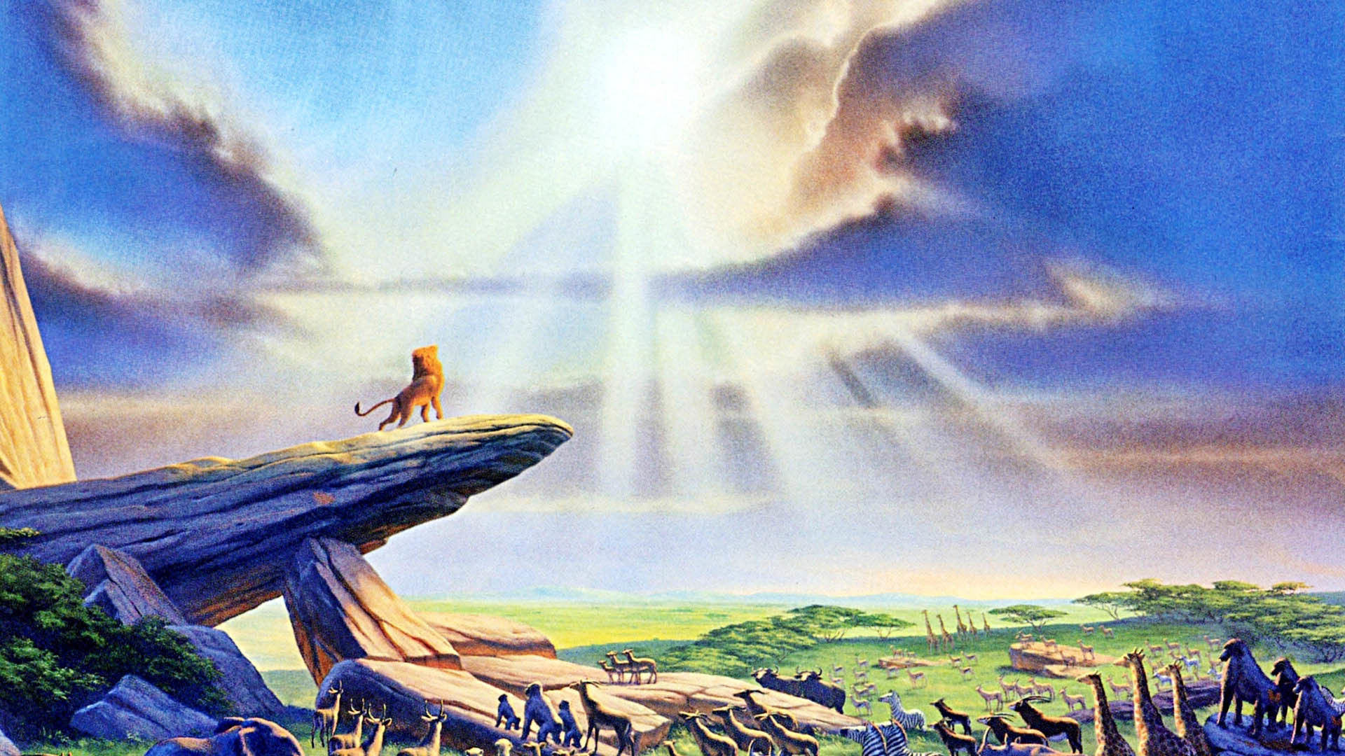 Lion Screensavers and Wallpaper (63+ images)