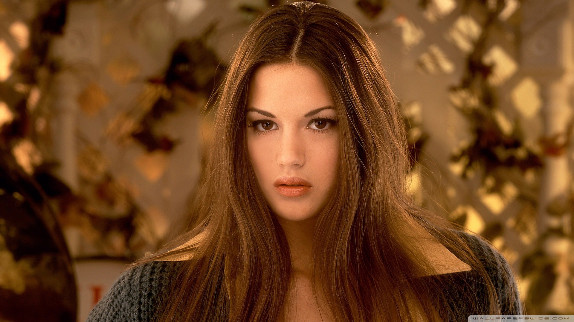 Most Beautiful Women HD Wallpaper (64+ images)