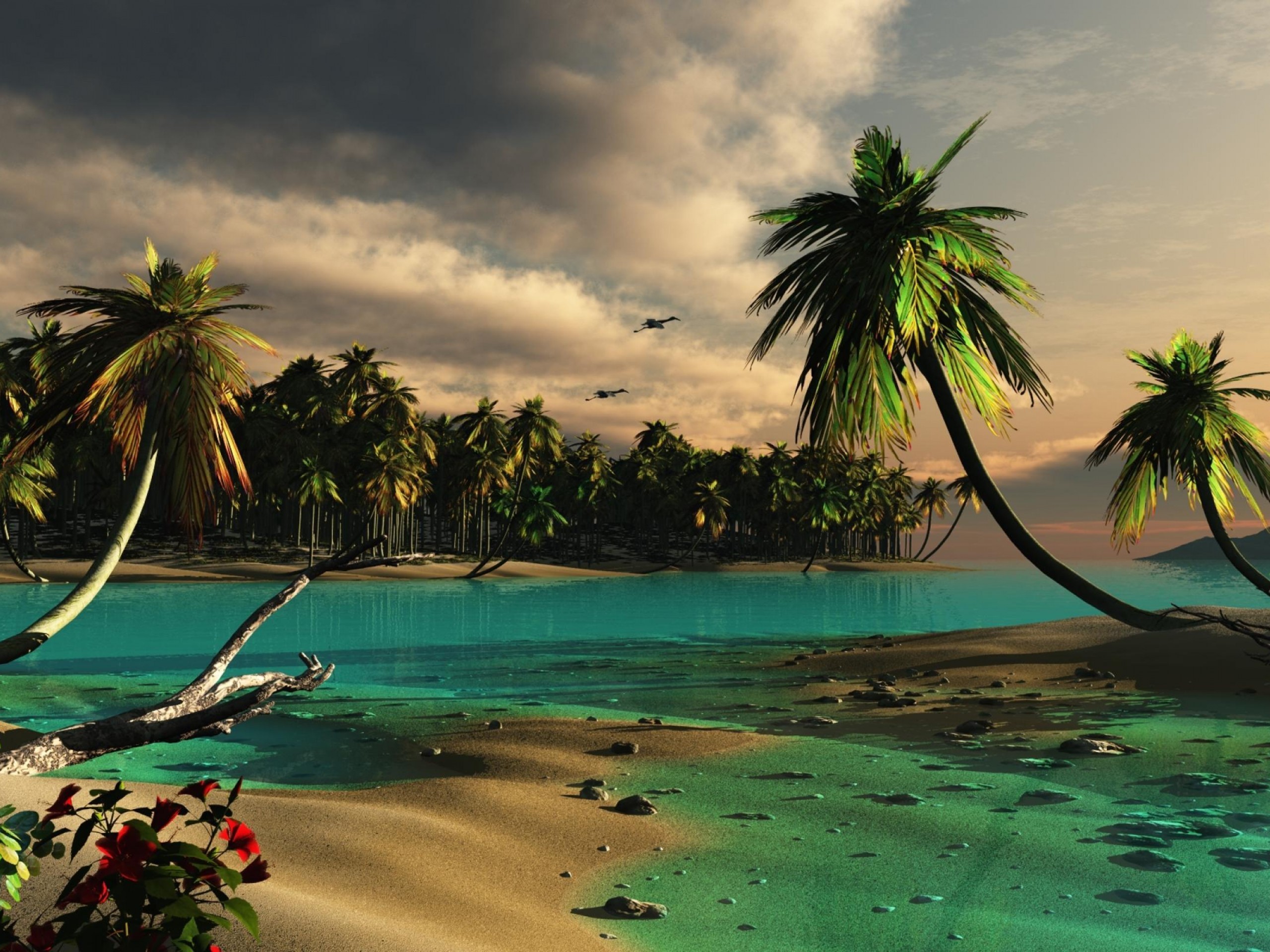 Beach Wallpaper Widescreen High Resolution (60+ images)