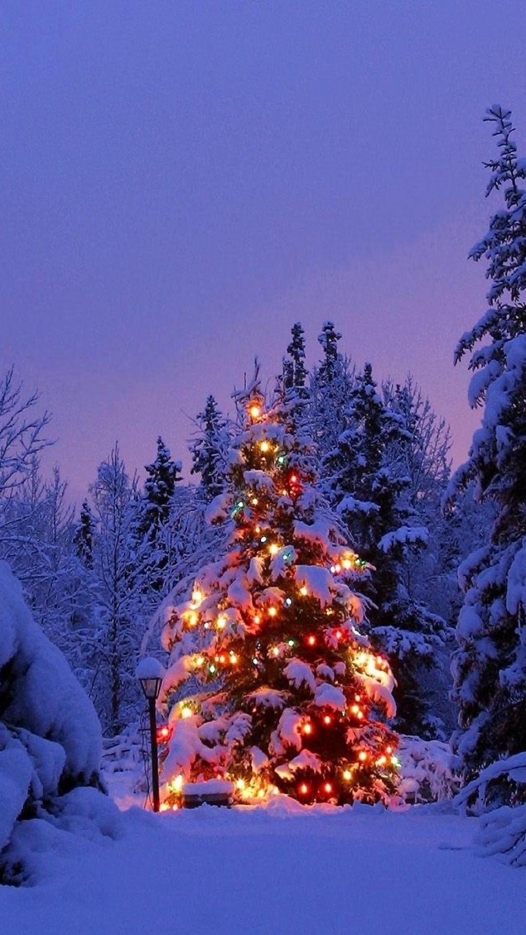 Christmas Tree Snow Wallpaper (73+ images)