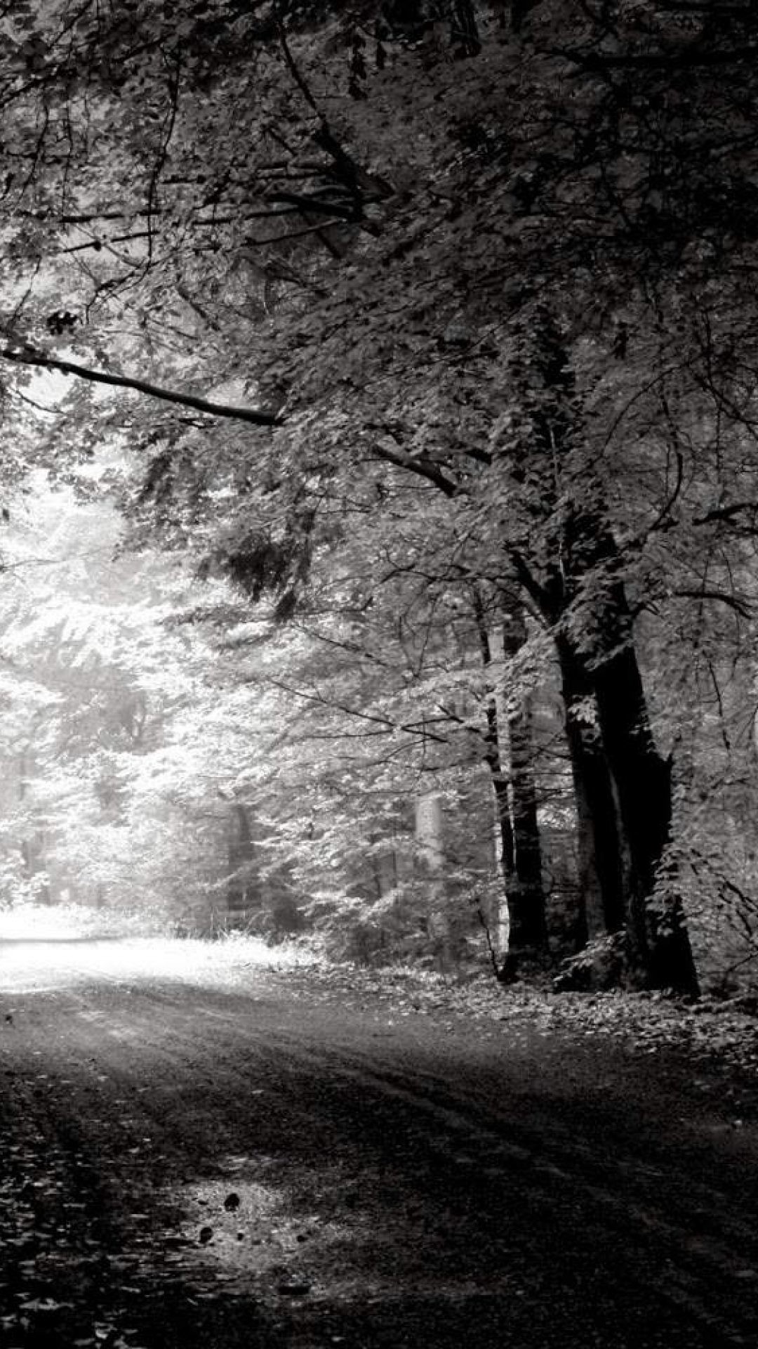 Black and White Nature Wallpaper (60+ images)