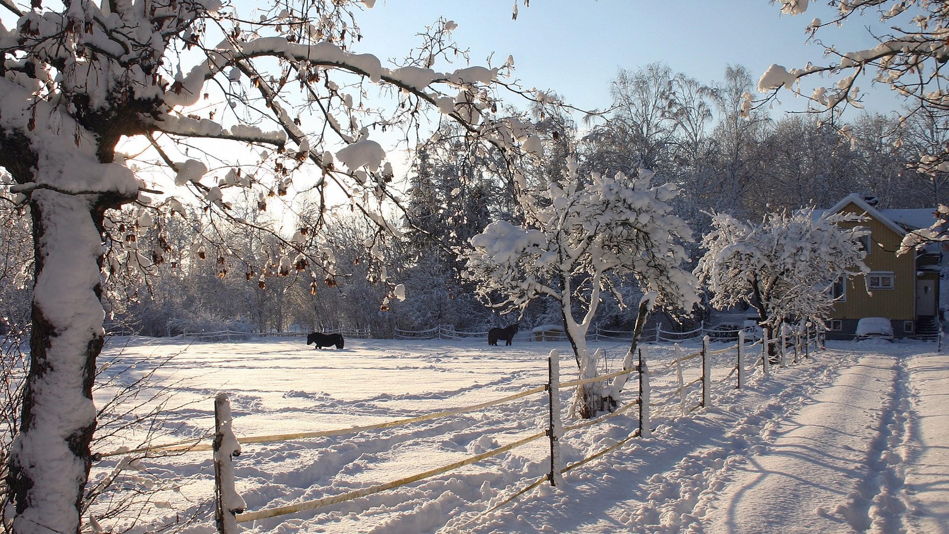 Farm Winter Scenes Desktop Wallpaper (37+ images)