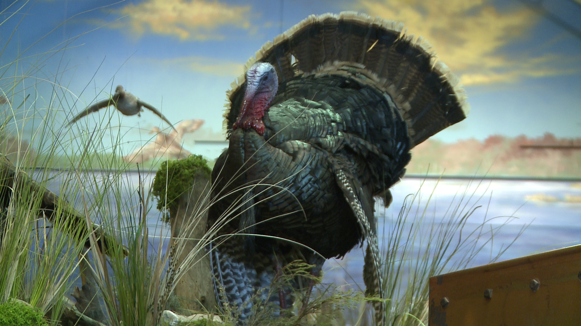 Hunting Screensavers And Wallpaper (45+ images)