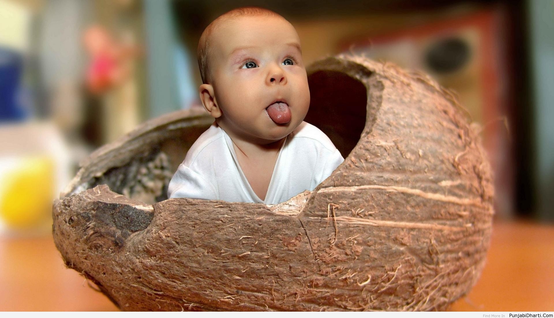 Funny Wallpapers for Kids (47+ images)