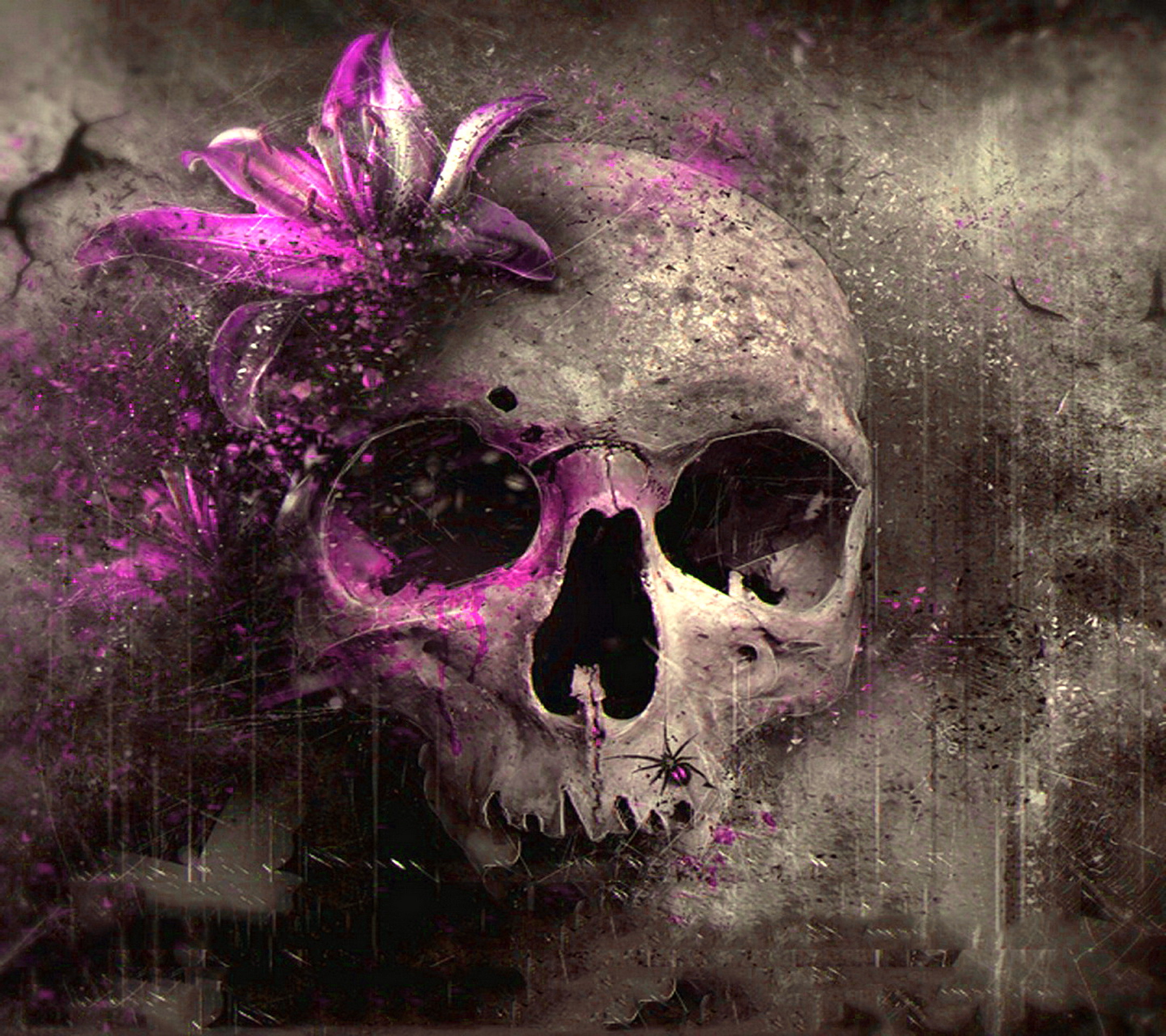 Pink Skull Wallpaper (50+ images)