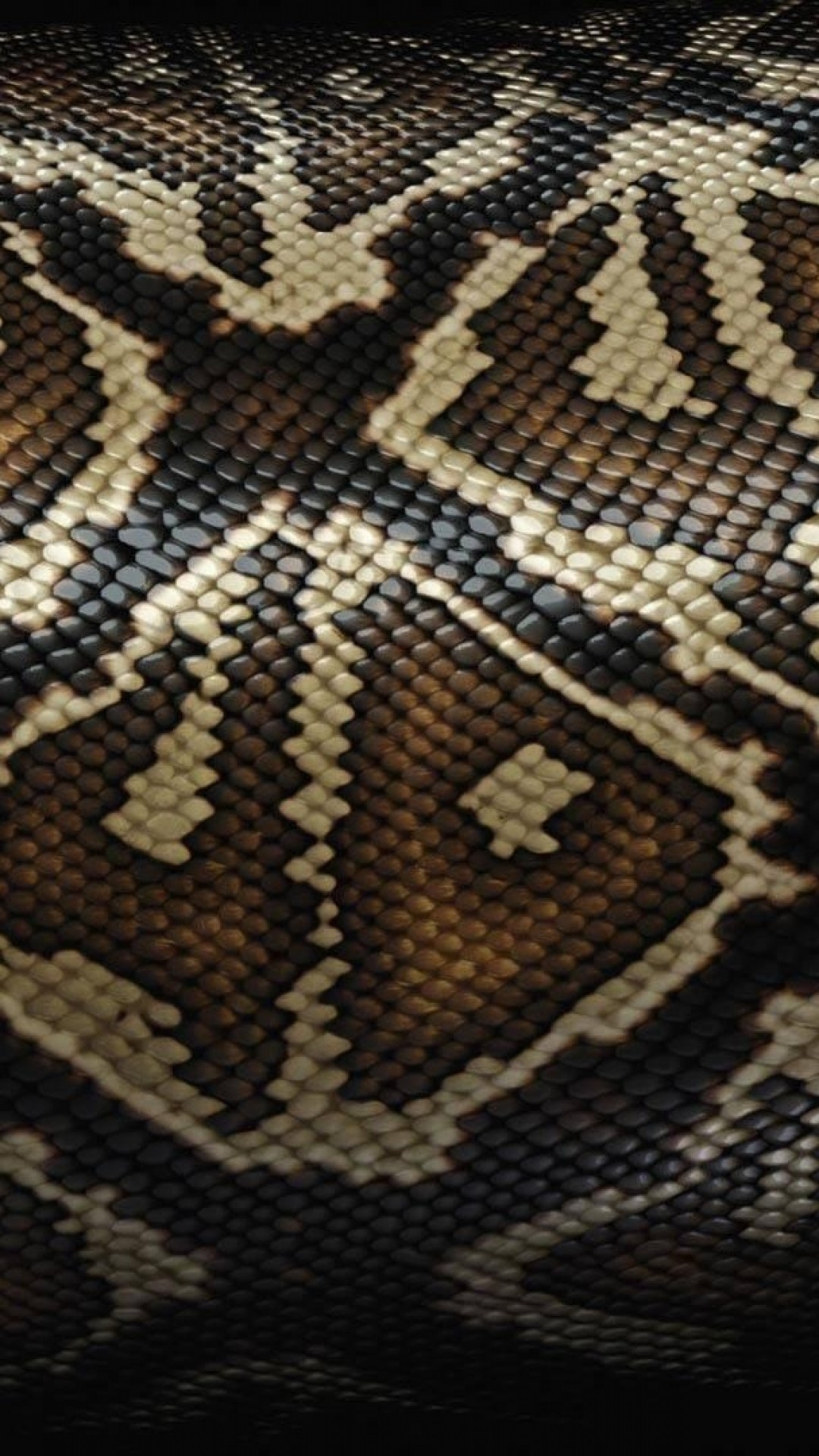Black Snake Skin Wallpaper (55+ images)