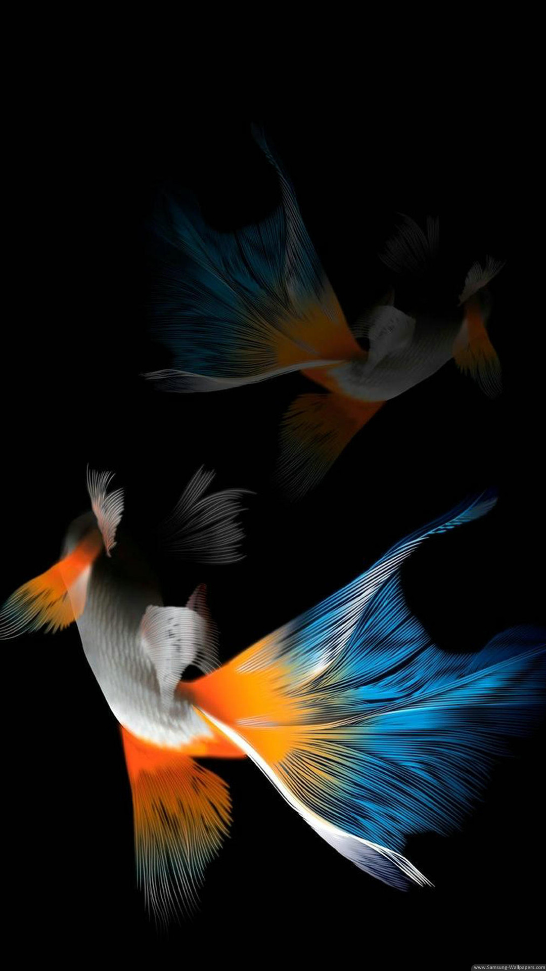 IPhone 6S Fish Wallpapers (75+ images)