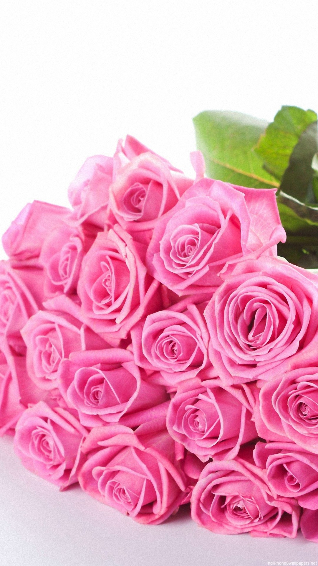 Rose Wallpaper for iPhone (87+ images)