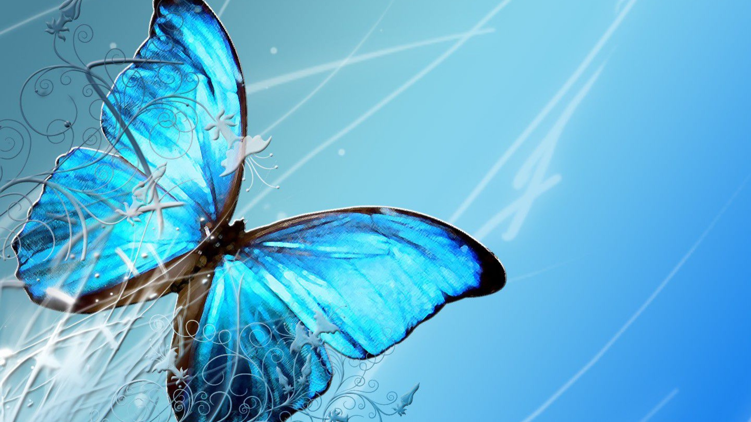 Blue Butterfly HD Wallpaper (70+ images)