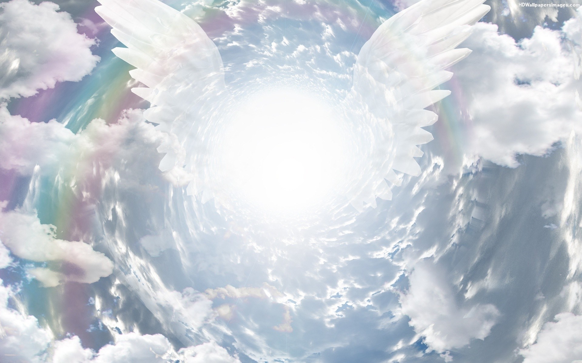Wallpaper Angel Wings (81+ images)