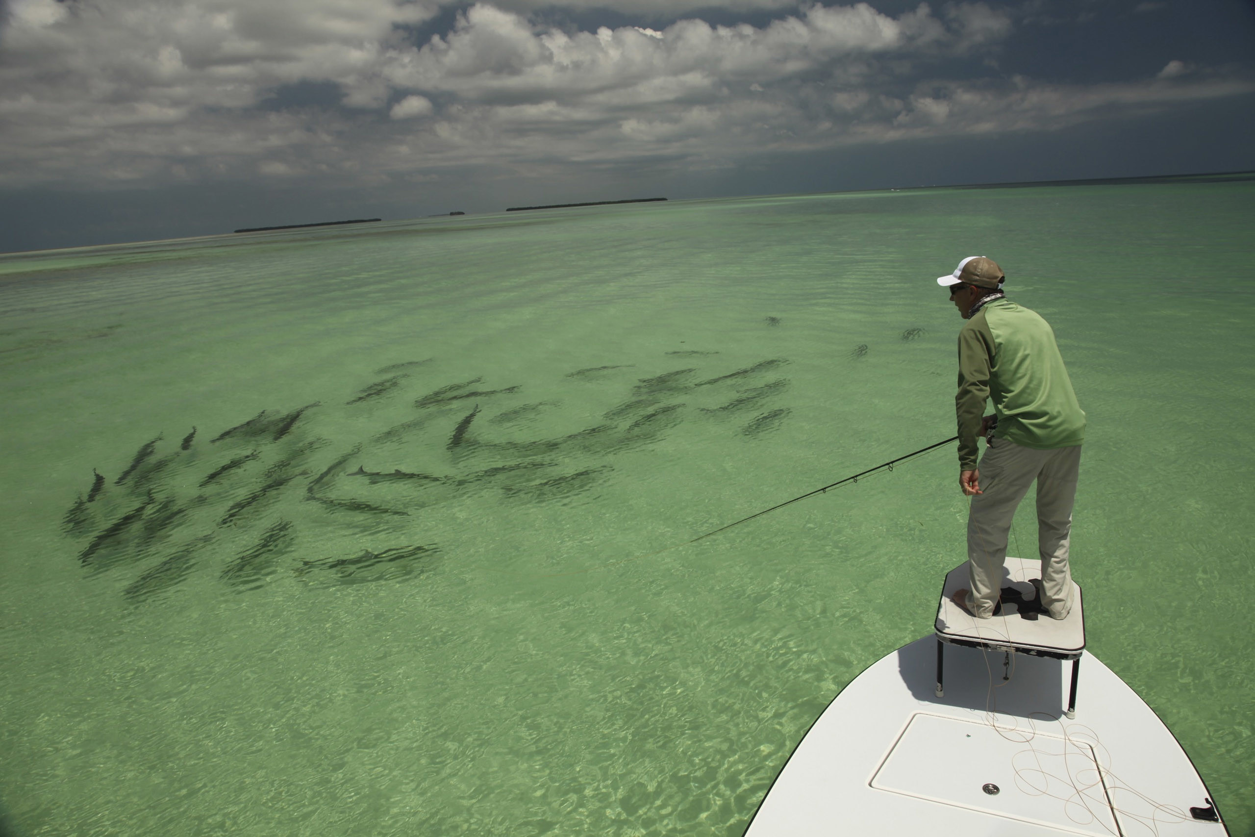 Saltwater Fishing Wallpaper (63+ images)