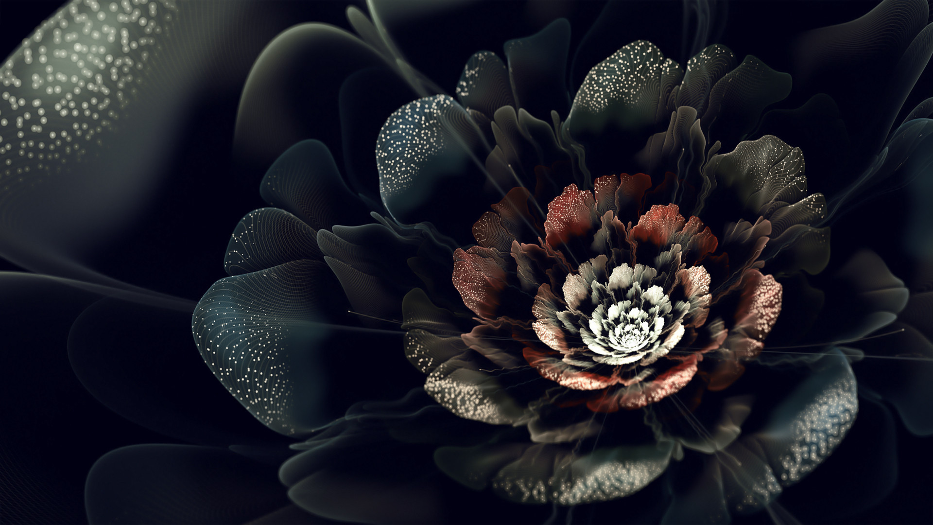 Black Roses Wallpaper (64+ images)